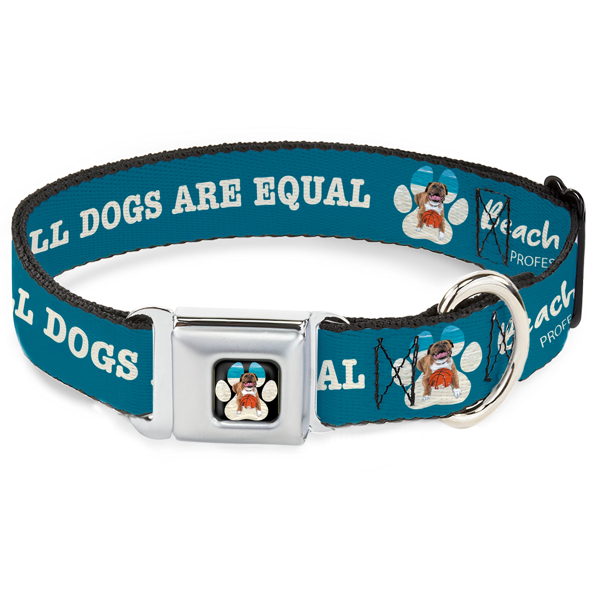 Beach Dawg Care Paw Logo Full Color Black Seatbelt Buckle Collar - BEACH DAWG CARE ALL DOGS ARE EQUAL Turquoise/White Seatbelt Buckle Collars Buckle-Down