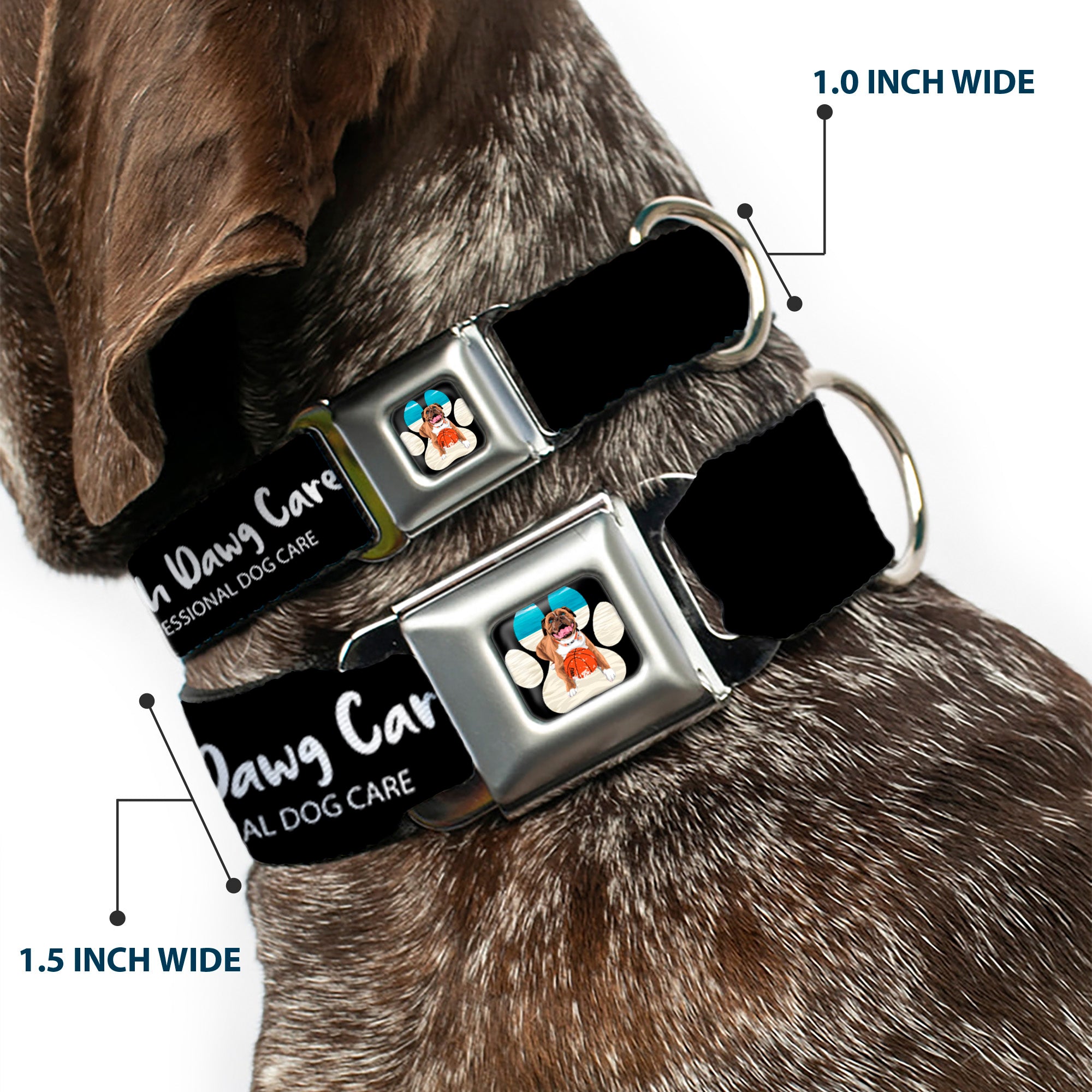 Beach Dawg Care Paw Logo Full Color Black Seatbelt Buckle Collar - BEACH DAWG CARE ALL DOGS ARE EQUAL Black/White Seatbelt Buckle Collars Buckle-Down