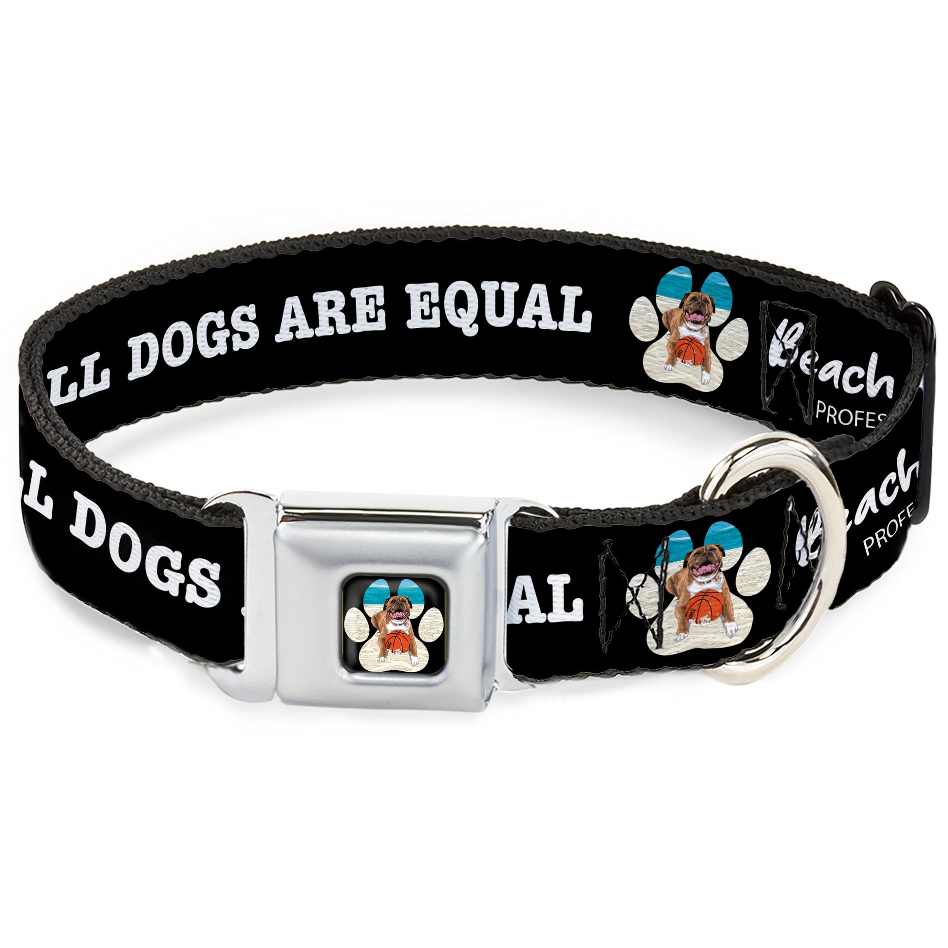 Beach Dawg Care Paw Logo Full Color Black Seatbelt Buckle Collar - BEACH DAWG CARE ALL DOGS ARE EQUAL Black/White Seatbelt Buckle Collars Buckle-Down