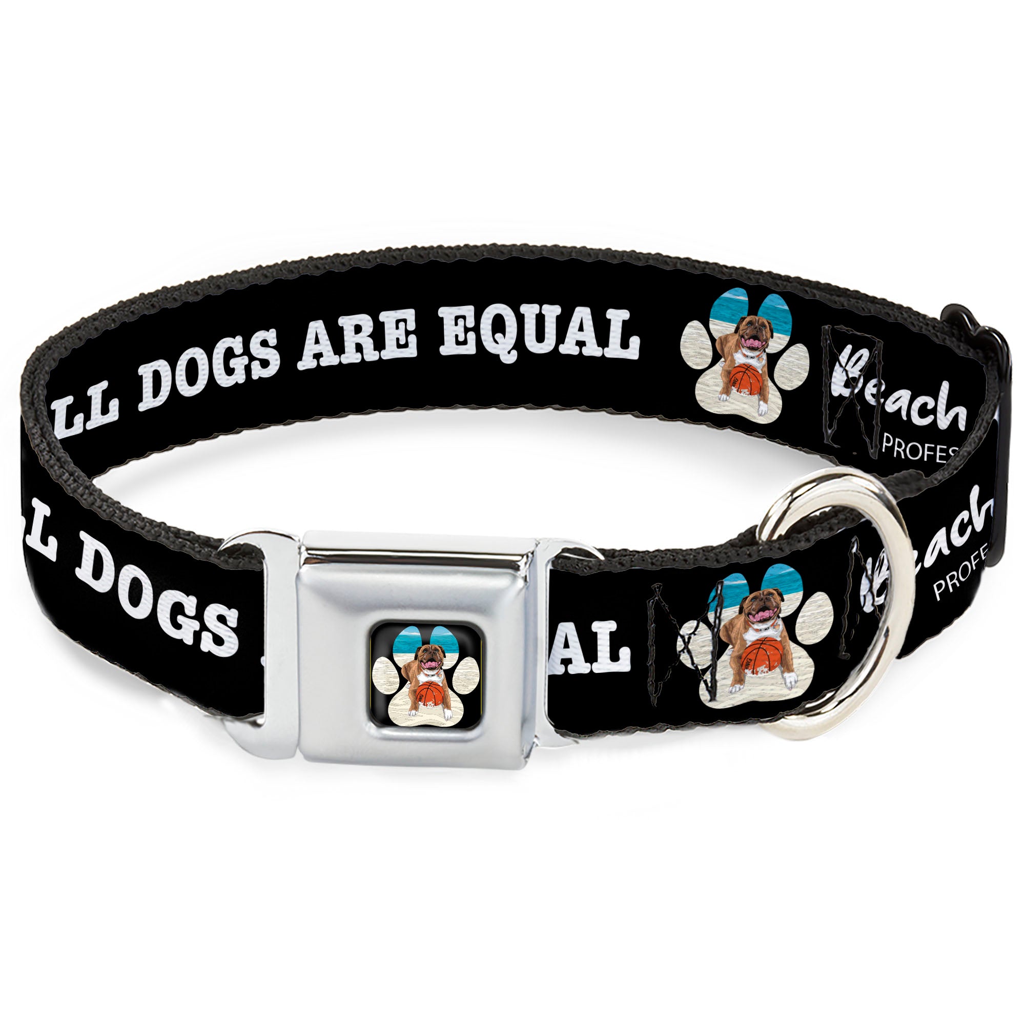 Beach Dawg Care Paw Logo Full Color Black Seatbelt Buckle Collar - BEACH DAWG CARE ALL DOGS ARE EQUAL Black/White Seatbelt Buckle Collars Buckle-Down