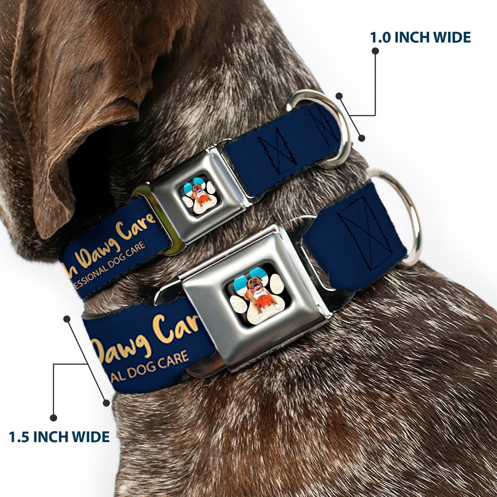 Beach Dawg Care Paw Logo Full Color Black Seatbelt Buckle Collar - BEACH DAWG CARE ALL DOGS ARE EQUAL Navy/Oange Seatbelt Buckle Collars Buckle-Down