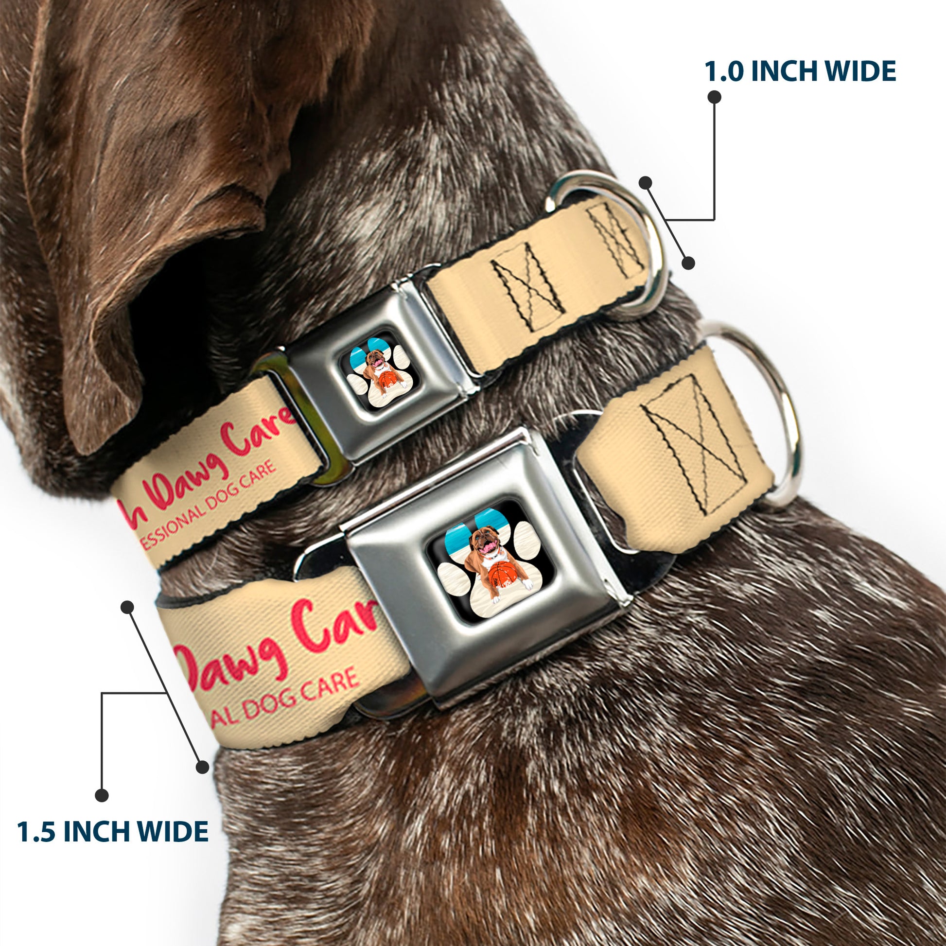 Beach Dawg Care Paw Logo Full Color Black Seatbelt Buckle Collar - BEACH DAWG CARE ALL DOGS ARE EQUAL Cream/Pink Seatbelt Buckle Collars Buckle-Down