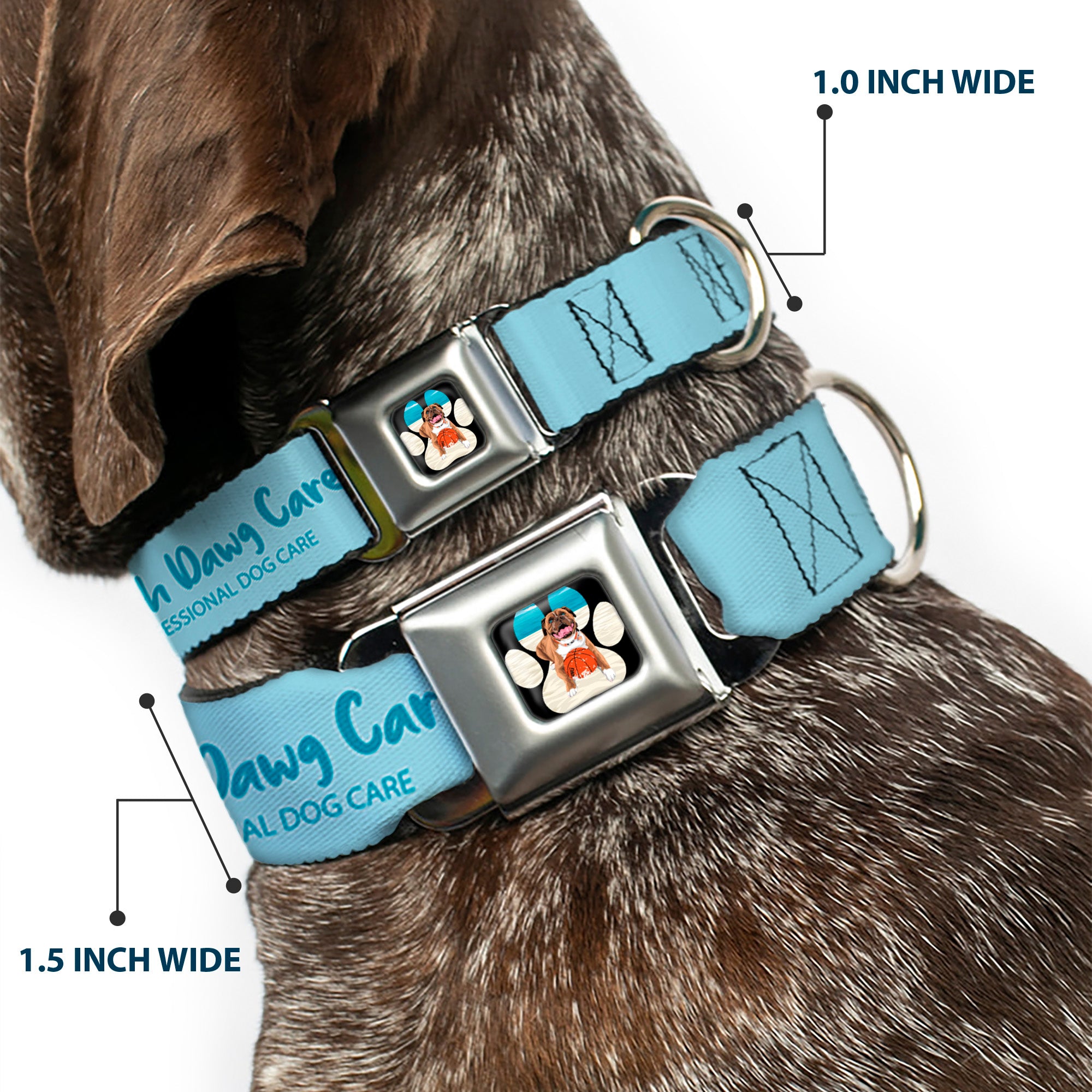 Beach Dawg Care Paw Logo Full Color Black Seatbelt Buckle Collar - BEACH DAWG CARE ALL DOGS ARE EQUAL Blues Seatbelt Buckle Collars Buckle-Down