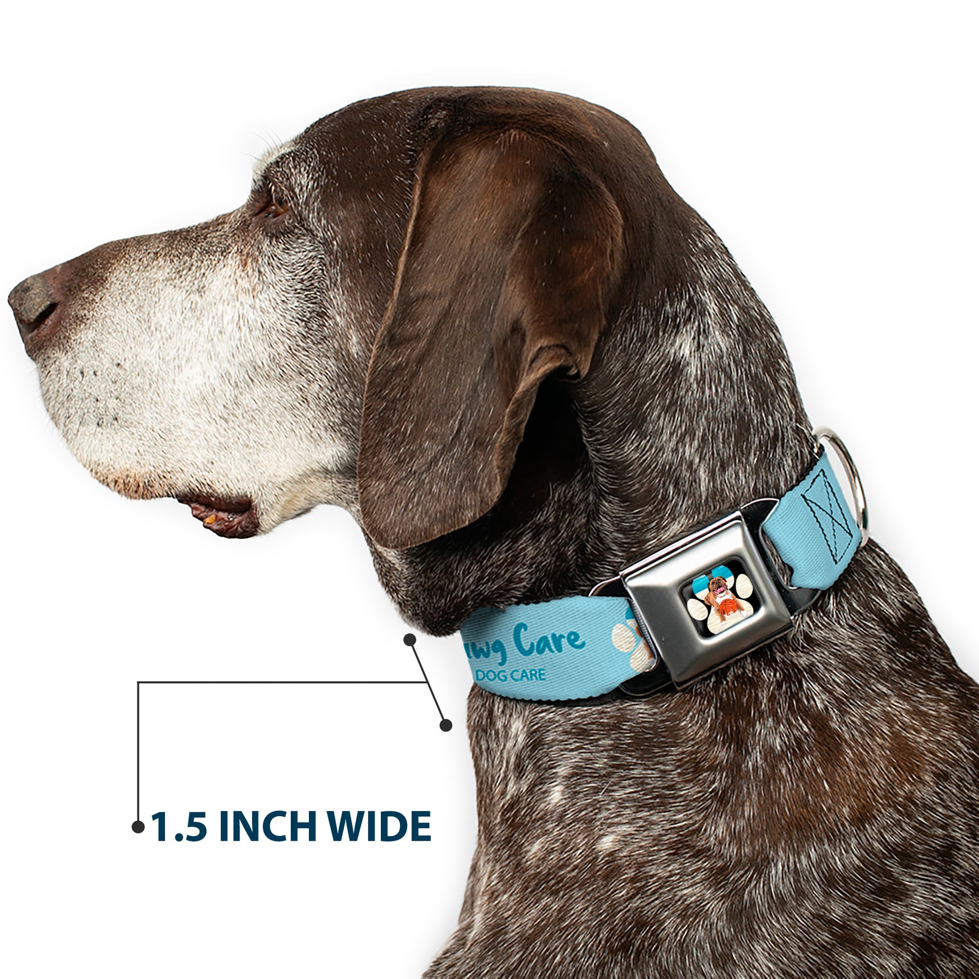 Beach Dawg Care Paw Logo Full Color Black Seatbelt Buckle Collar - BEACH DAWG CARE ALL DOGS ARE EQUAL Blues Seatbelt Buckle Collars Buckle-Down