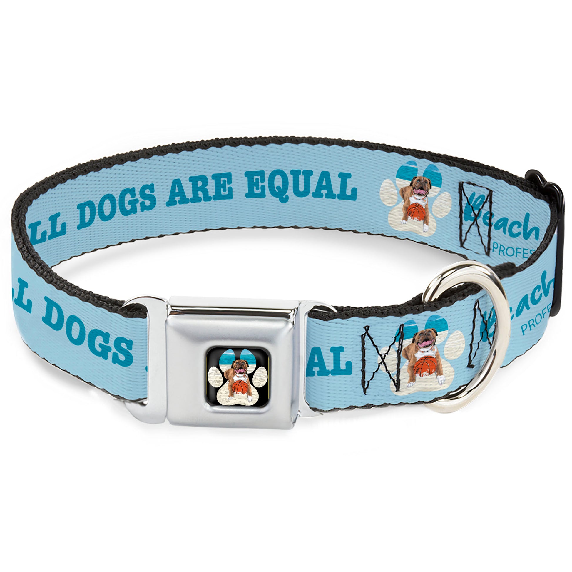 Beach Dawg Care Paw Logo Full Color Black Seatbelt Buckle Collar - BEACH DAWG CARE ALL DOGS ARE EQUAL Blues Seatbelt Buckle Collars Buckle-Down