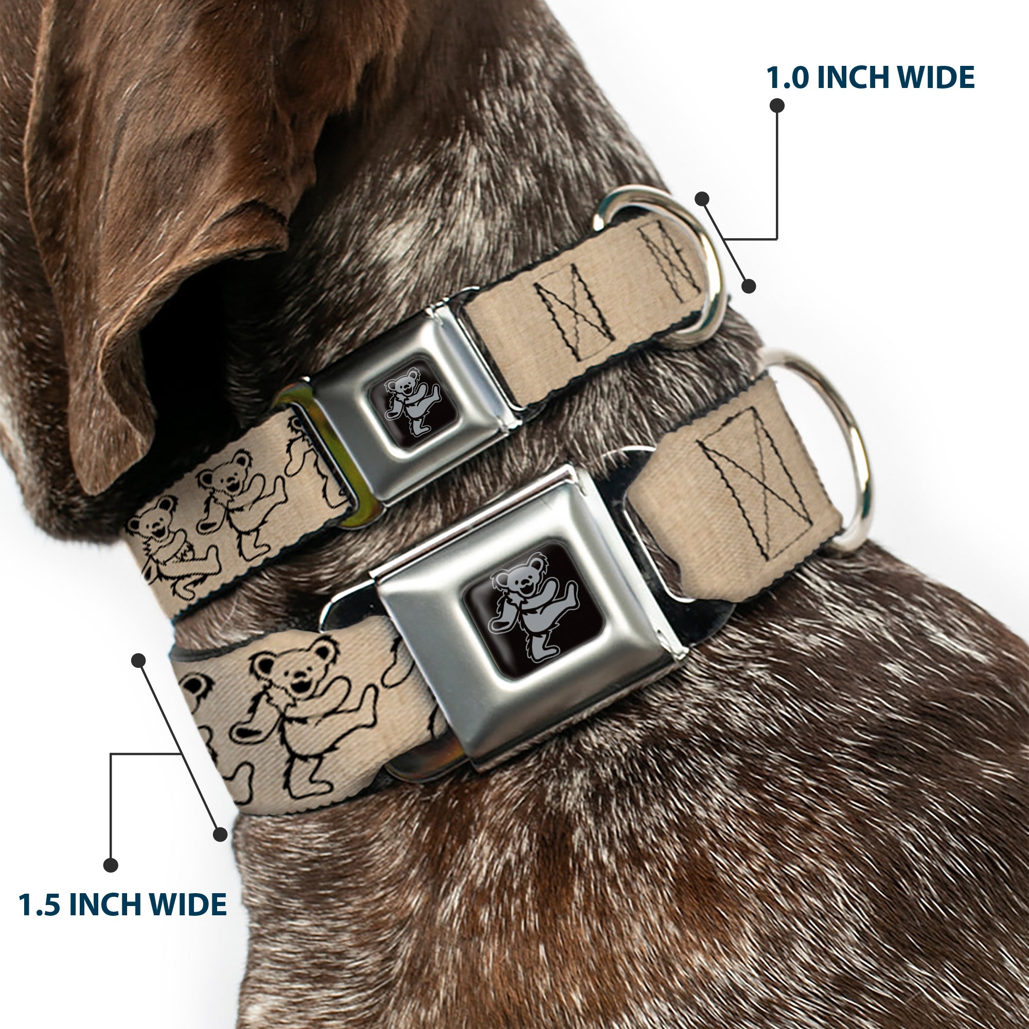 Dancing Bear Black/Silver Seatbelt Buckle Collar - Dancing Bears Hemp/Black Seatbelt Buckle Collars Grateful Dead