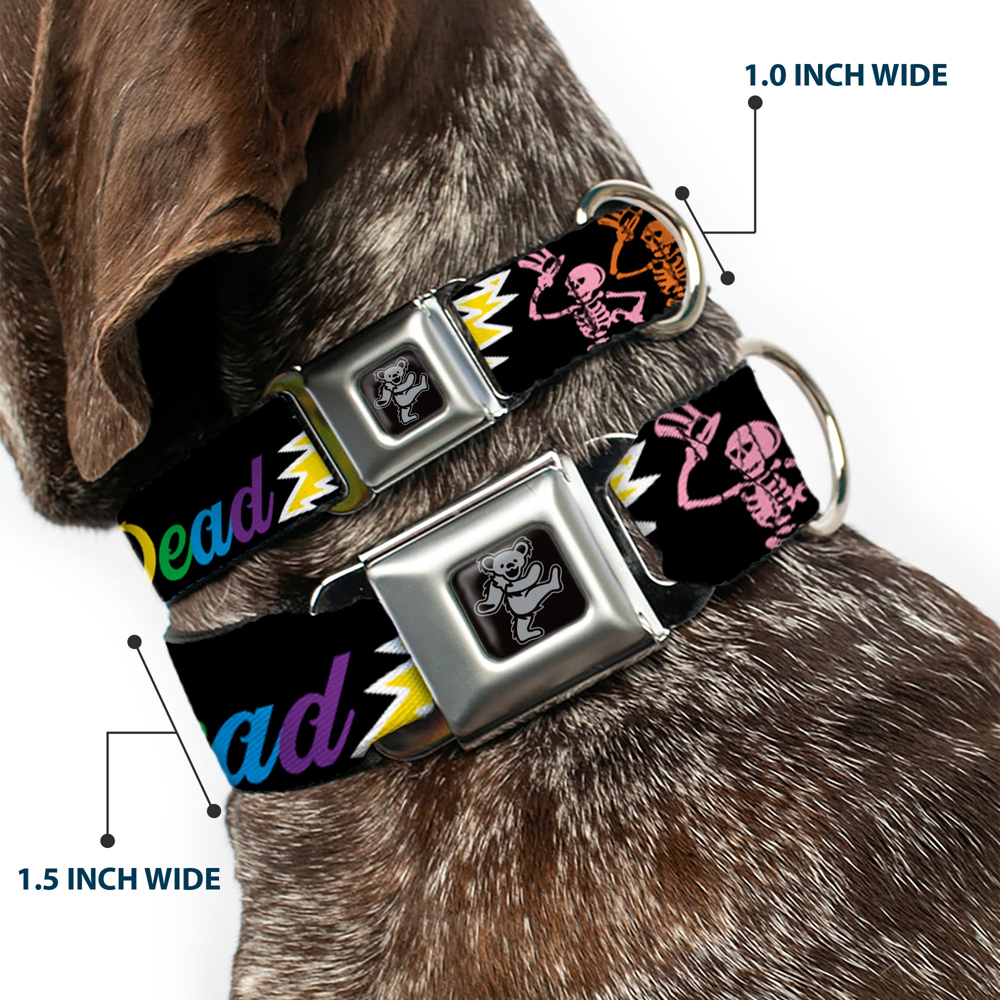 Dancing Bear Black/Silver Seatbelt Buckle Collar - Grateful Dead Script w/Bears & Skeletons Black/Multi Color Seatbelt Buckle Collars Grateful Dead