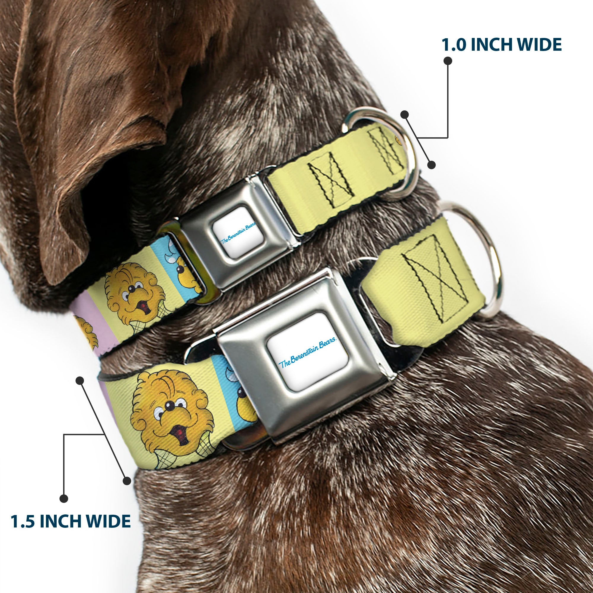 THE BERENSTAIN BEARS Full Color White/Blue Seatbelt Buckle Collar - The Berenstain Bears Smiling Face Blocks Multi Color