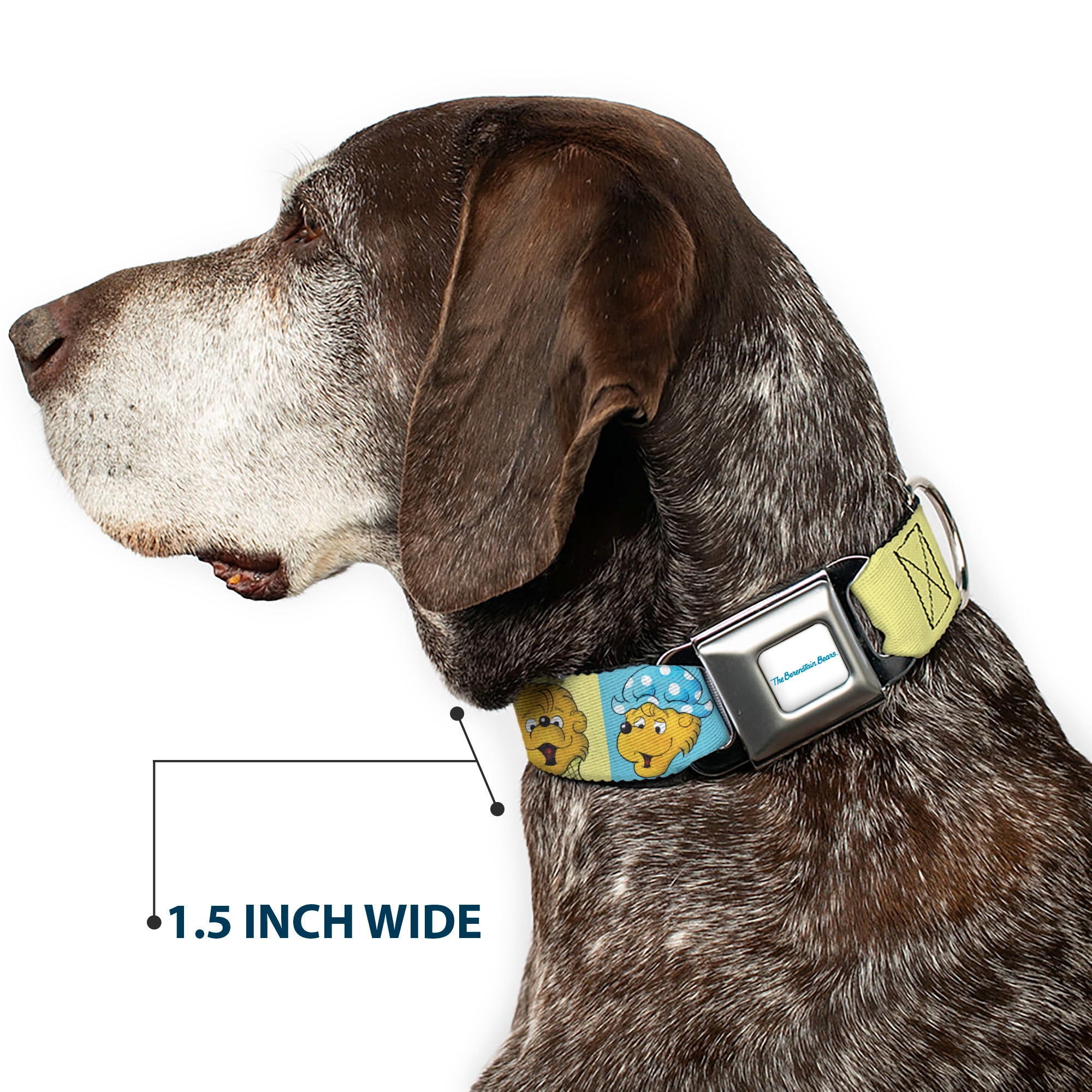 THE BERENSTAIN BEARS Full Color White/Blue Seatbelt Buckle Collar - The Berenstain Bears Smiling Face Blocks Multi Color