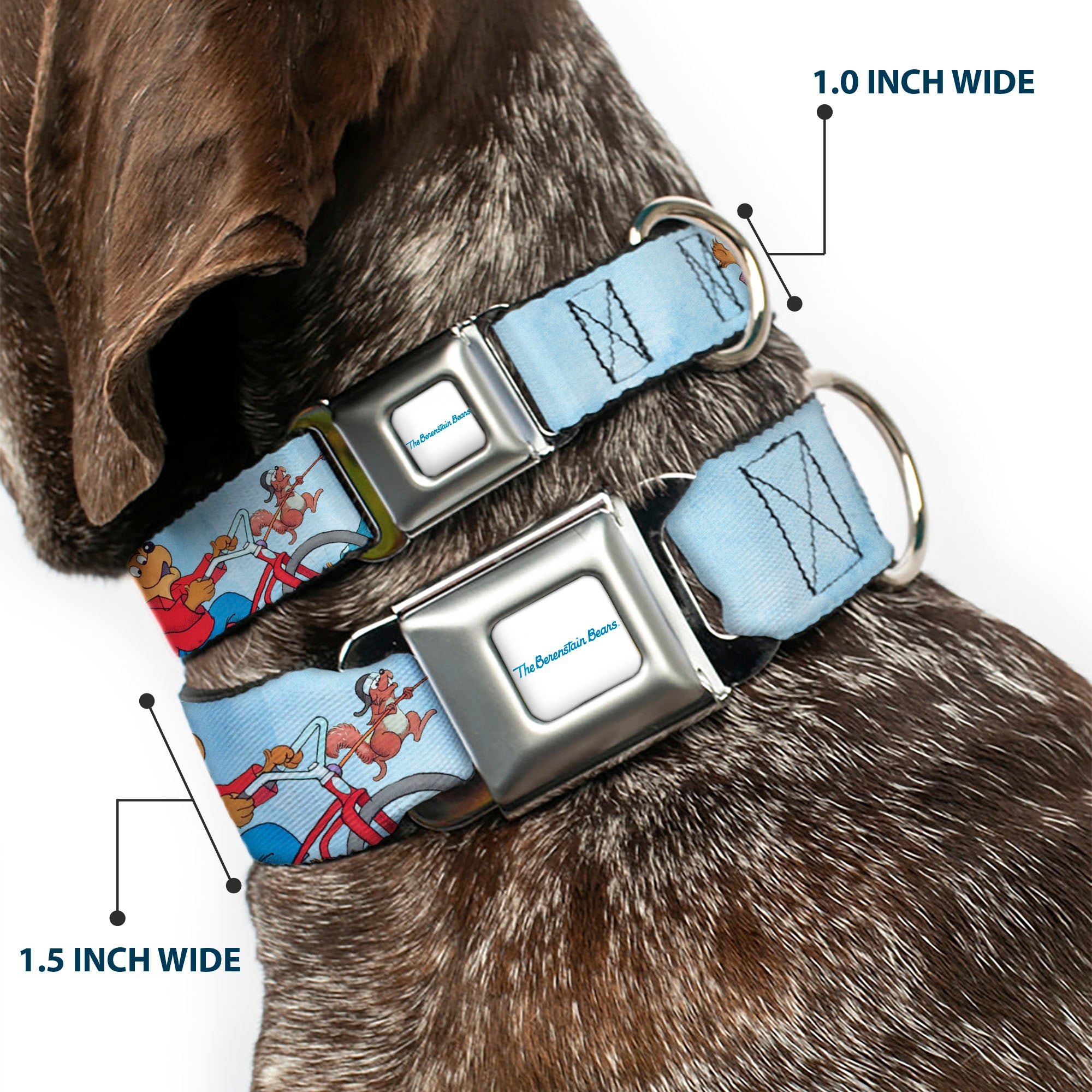 THE BERENSTAIN BEARS Full Color White/Blue Seatbelt Buckle Collar - The Berenstain Bears Family Fun Day Pose Light Blue