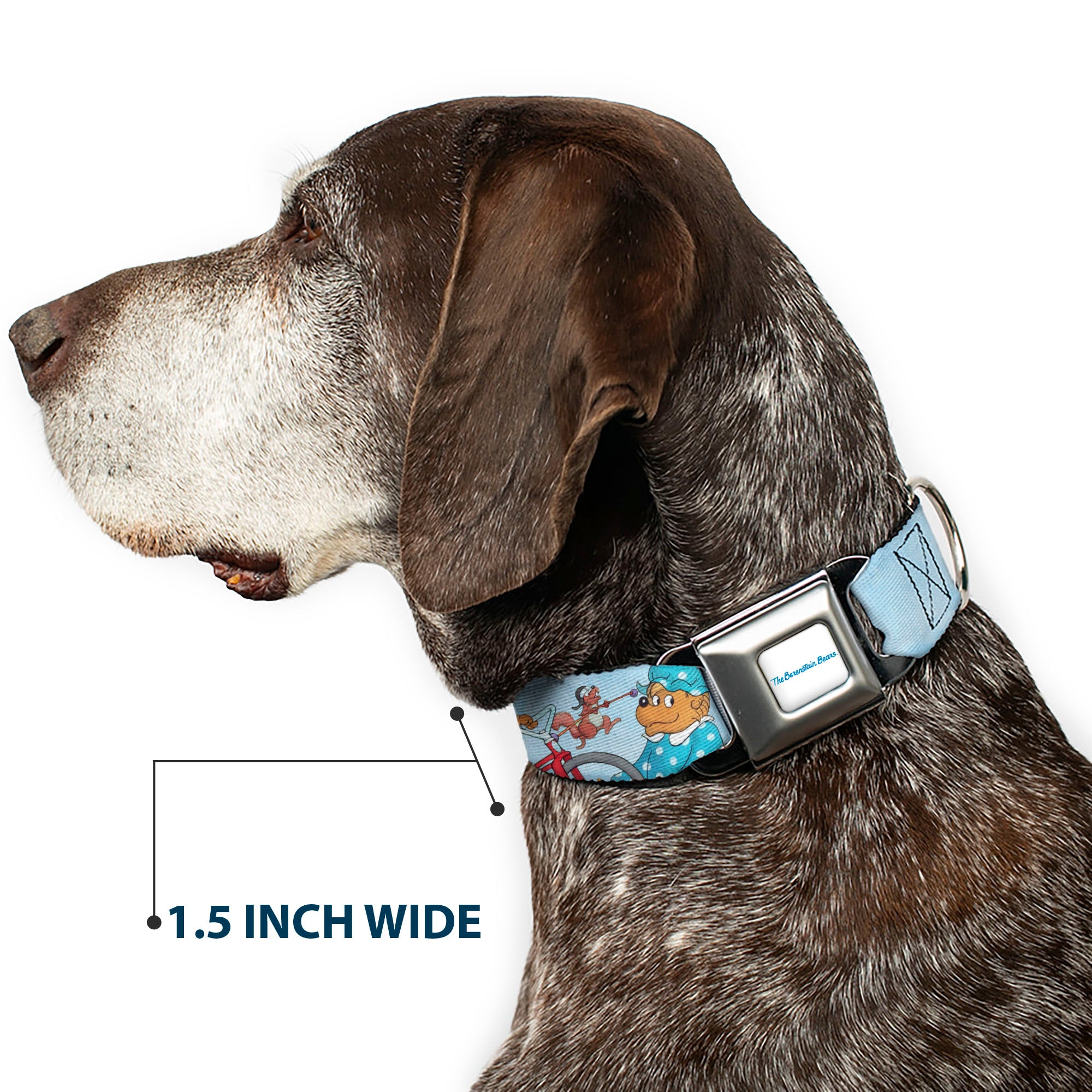 THE BERENSTAIN BEARS Full Color White/Blue Seatbelt Buckle Collar - The Berenstain Bears Family Fun Day Pose Light Blue