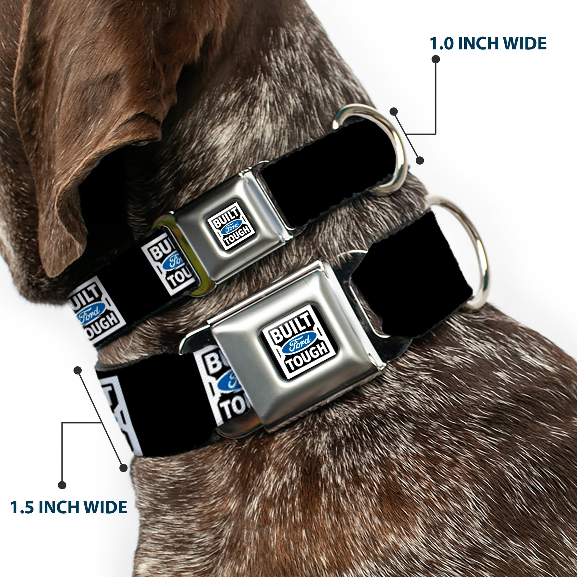 BUILT FORD TOUGH Logo2 Full Color Black White Blue Seatbelt Buckle Collar - BUILT FORD TOUGH Logo2 Black/White/Blue Seatbelt Buckle Collars Ford