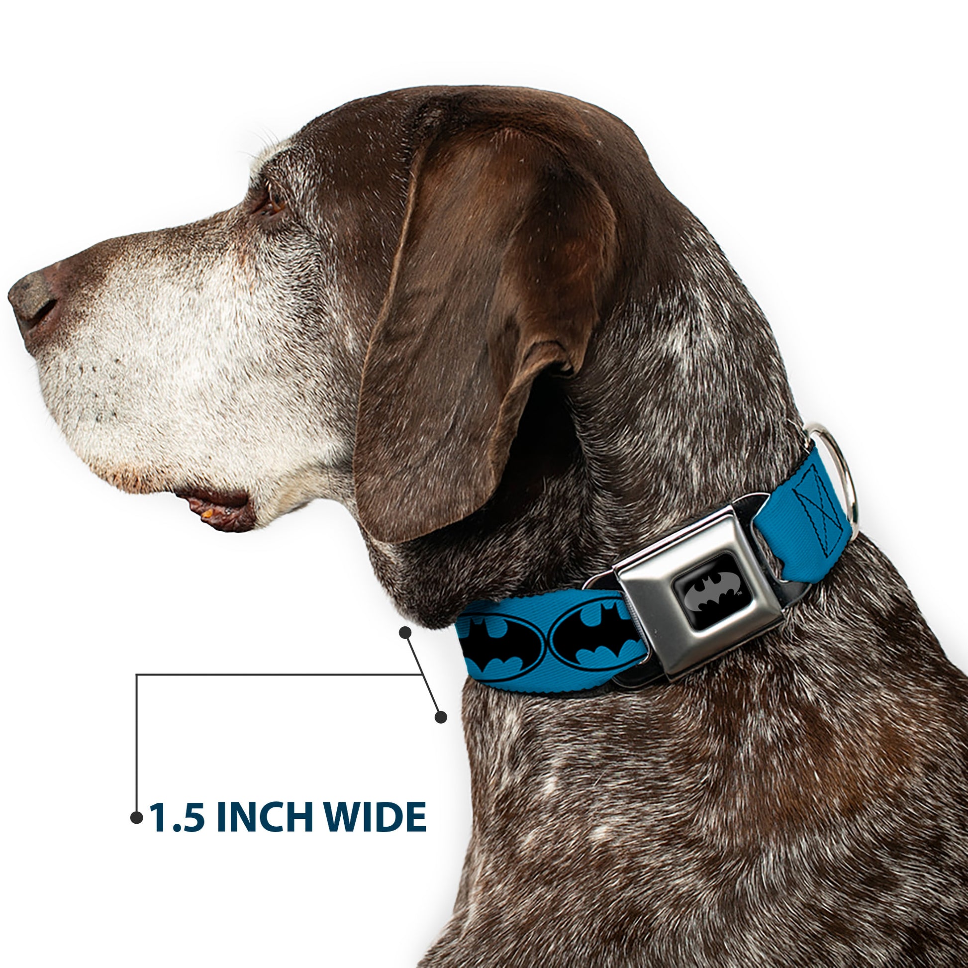 Batman Black Silver Seatbelt Buckle Collar - Bat Signal-3 Blue/Black/Blue Seatbelt Buckle Collars DC Comics