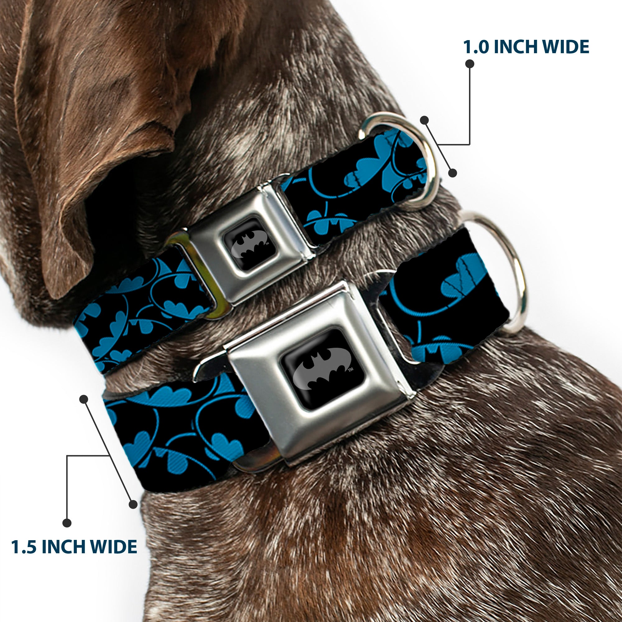 Batman Black/Silver Seatbelt Buckle Collar - Bat Signals Stacked Blue/Black Seatbelt Buckle Collars DC Comics