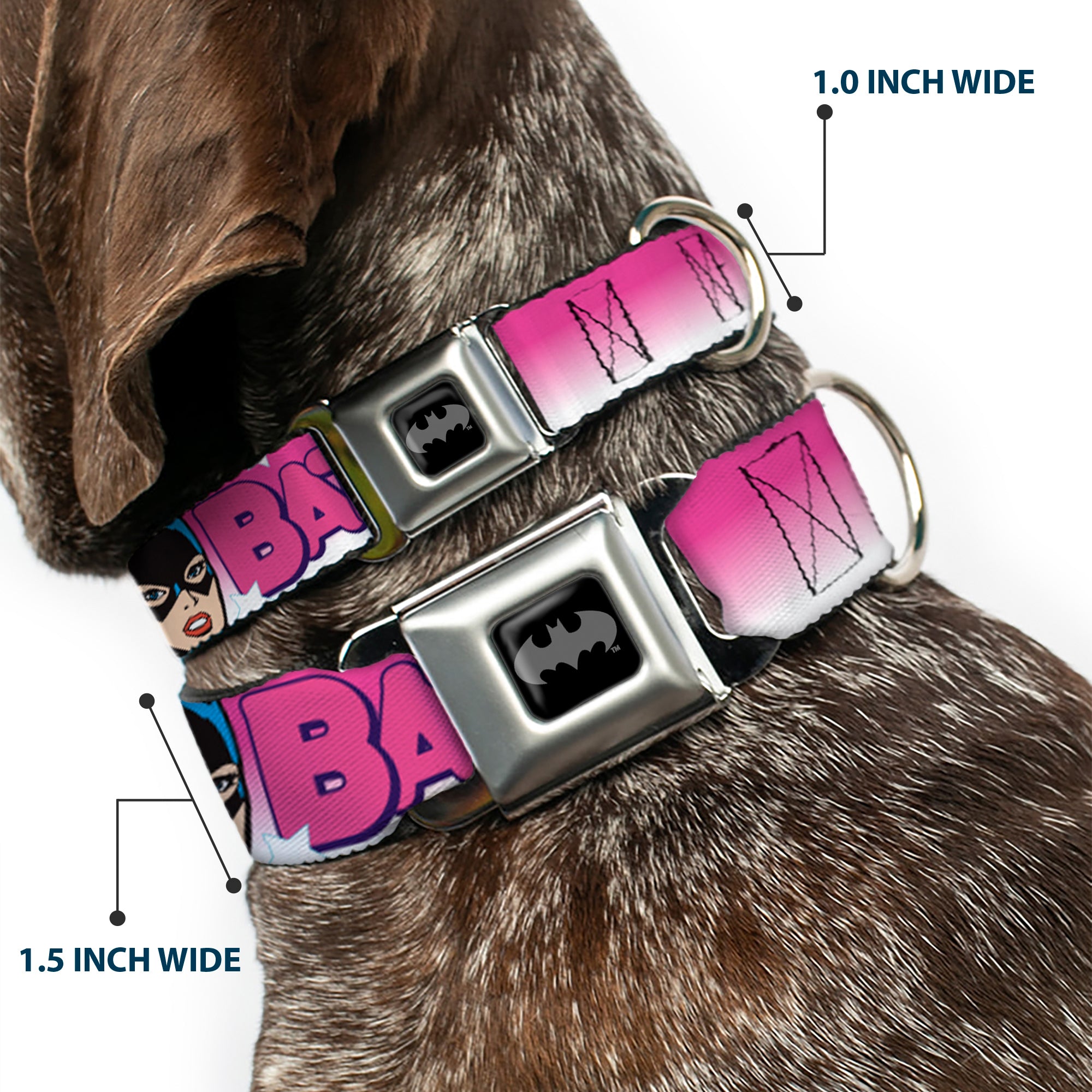 Batman Black/Silver Seatbelt Buckle Collar - BATGIRL Bubble Letters w/Stars Pink/White Seatbelt Buckle Collars DC Comics