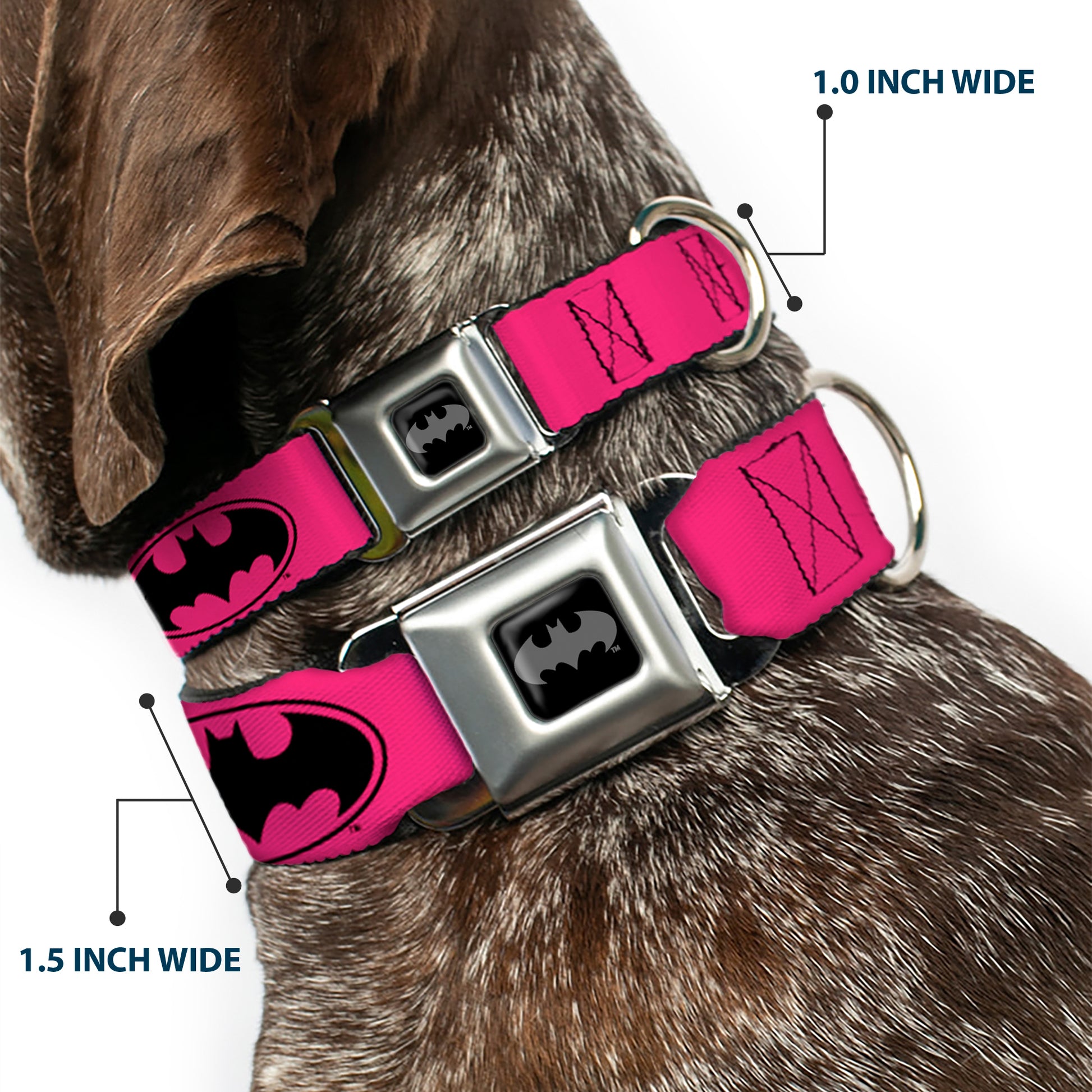 Batman Black Silver Seatbelt Buckle Collar - Bat Signal-3 Fuchsia/Black/Fuchsia Seatbelt Buckle Collars DC Comics