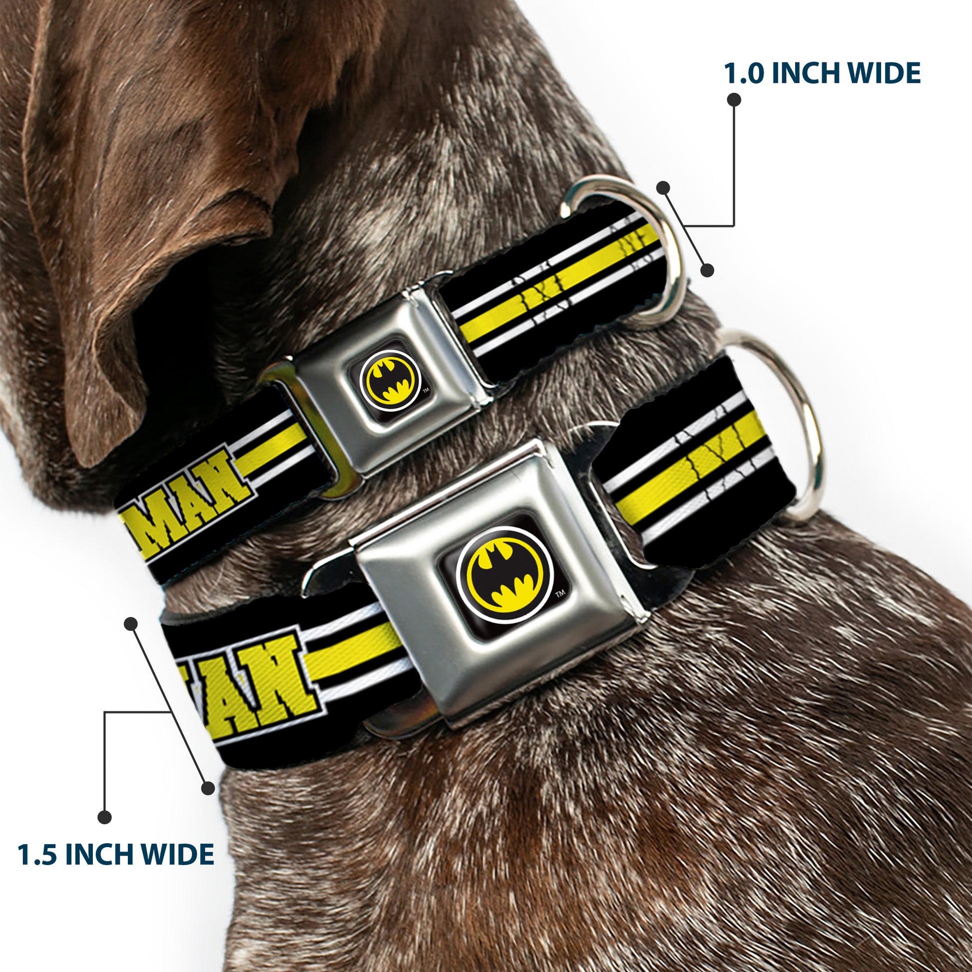 Bat Signal Black/White/Yellow Seatbelt Buckle Collar - BATMAN/Bat Signal Triple Stripe Black/White/Yellow Seatbelt Buckle Collars DC Comics