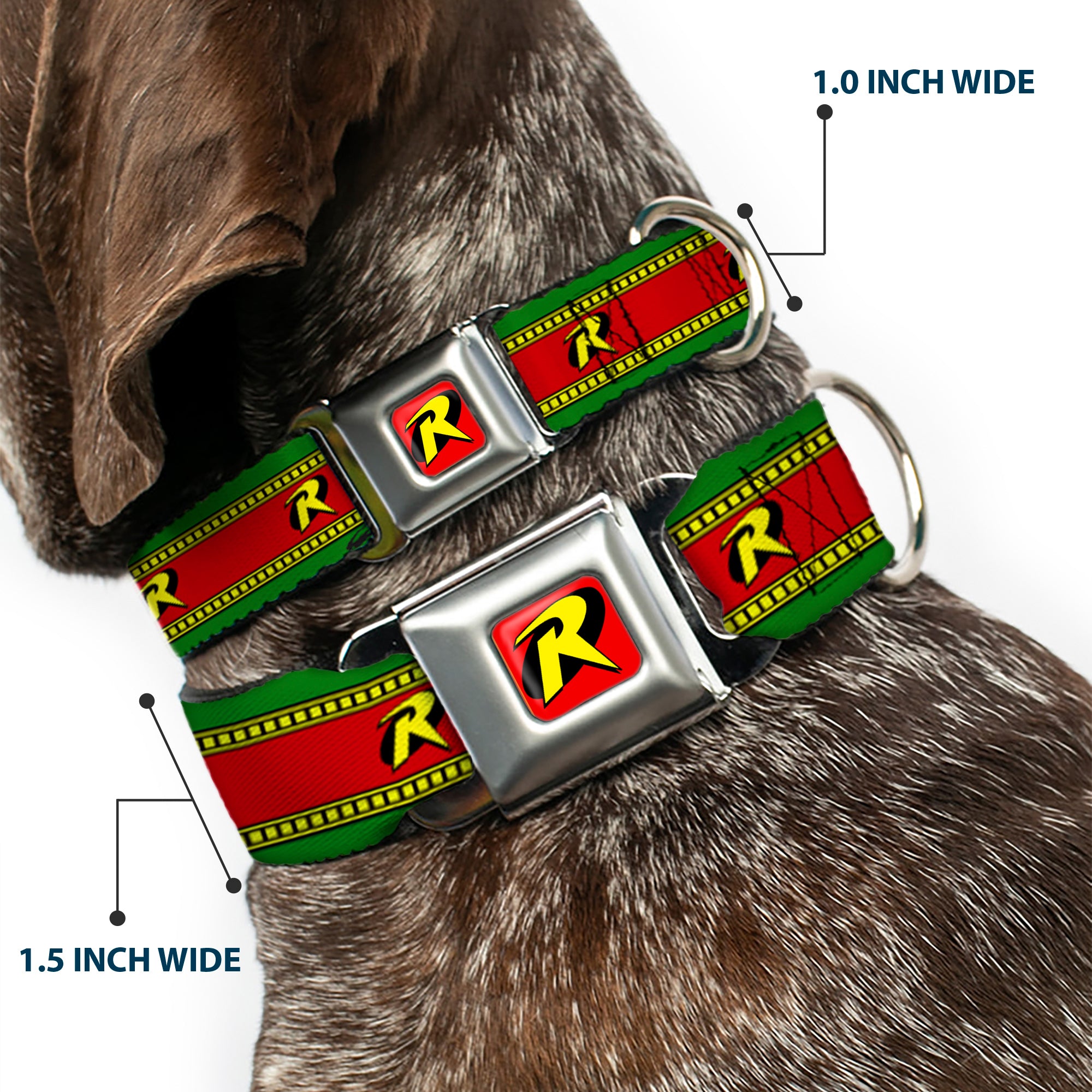 Robin "R" Logo Full Color Red/Black/Yellow Seatbelt Buckle Collar - Robin Action Pose/"R" Logo Stripe Green/Yellow/Red/Black Seatbelt Buckle Collars DC Comics