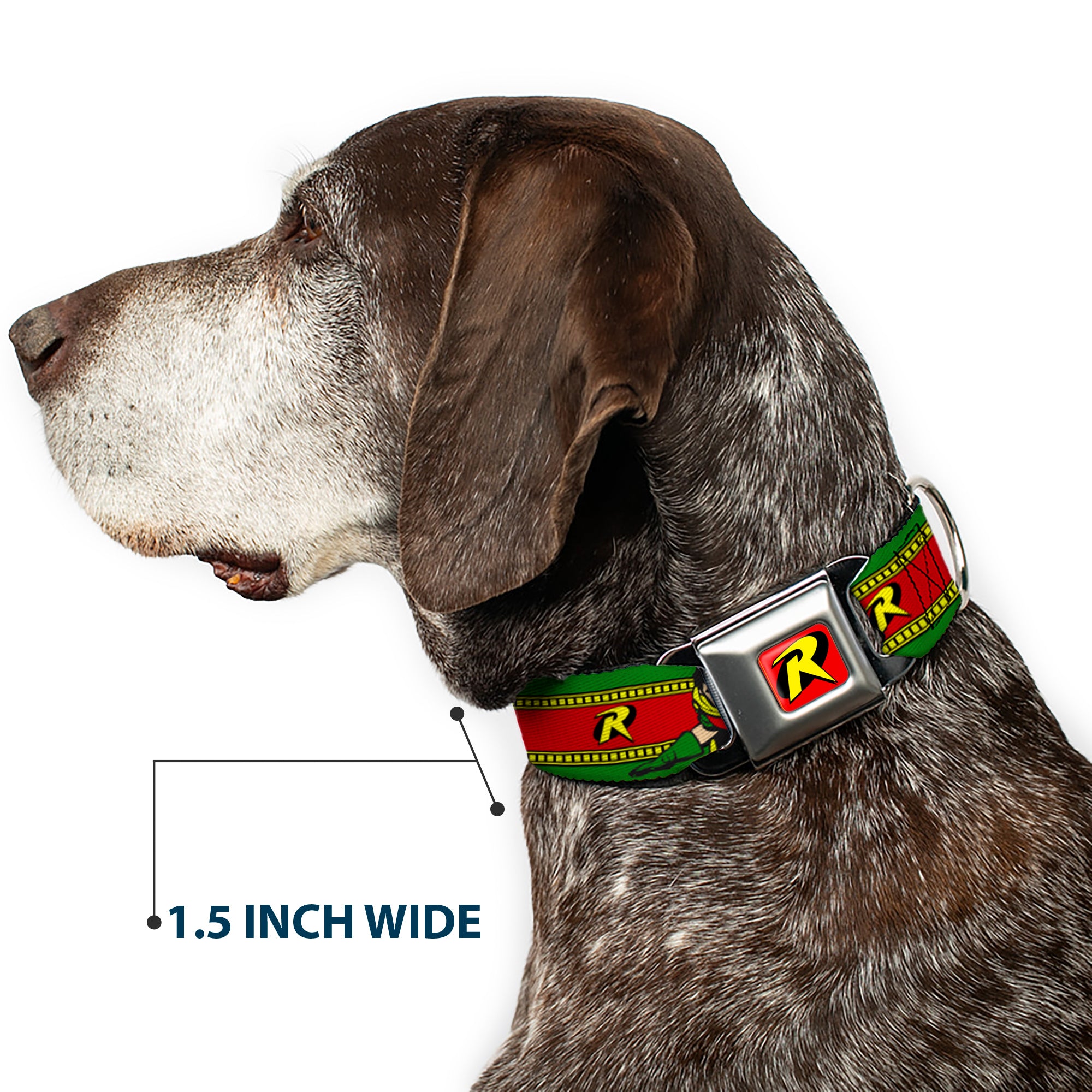 Robin "R" Logo Full Color Red/Black/Yellow Seatbelt Buckle Collar - Robin Action Pose/"R" Logo Stripe Green/Yellow/Red/Black Seatbelt Buckle Collars DC Comics