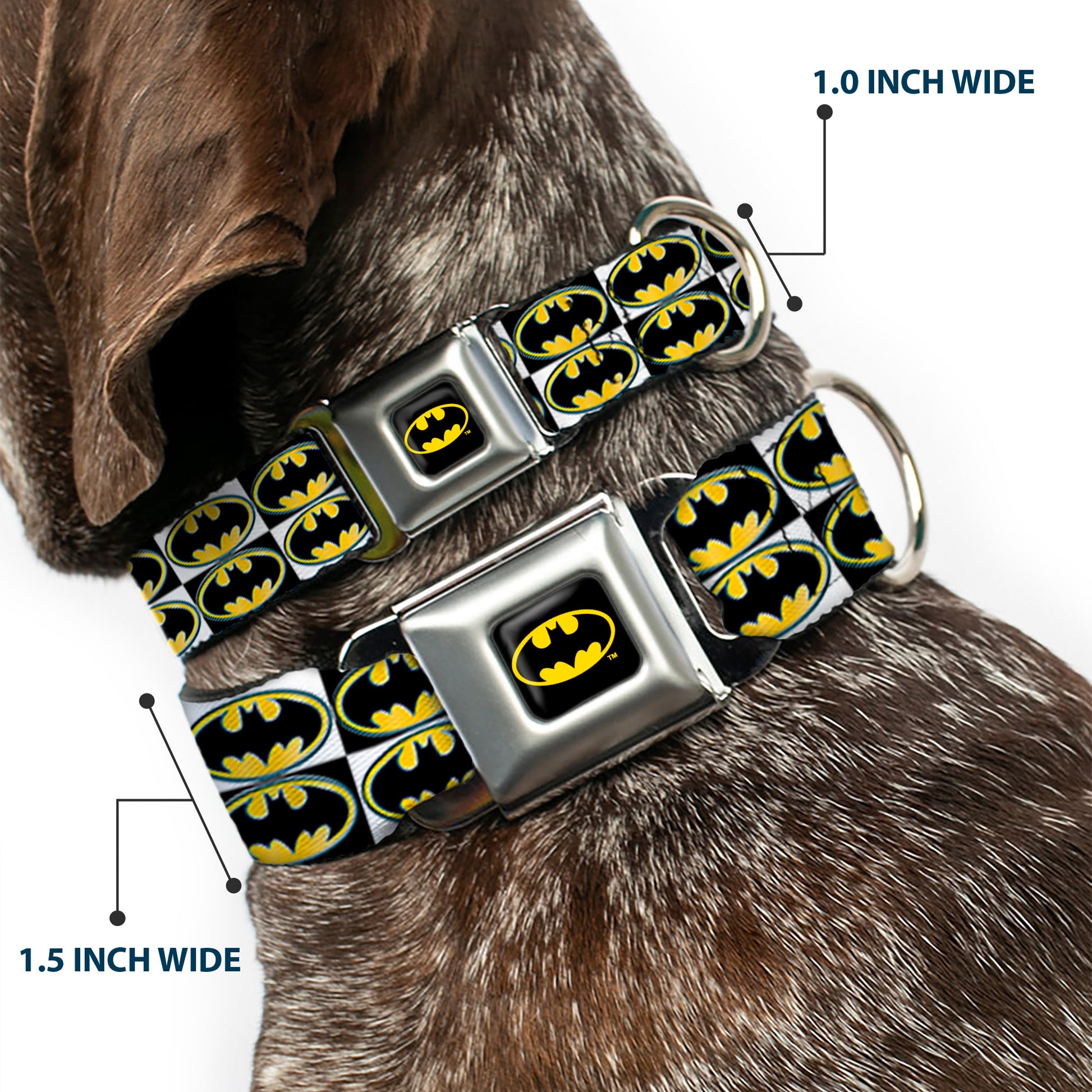 Batman Full Color Black Yellow Seatbelt Buckle Collar - Batman Shield Checkers Seatbelt Buckle Collars DC Comics