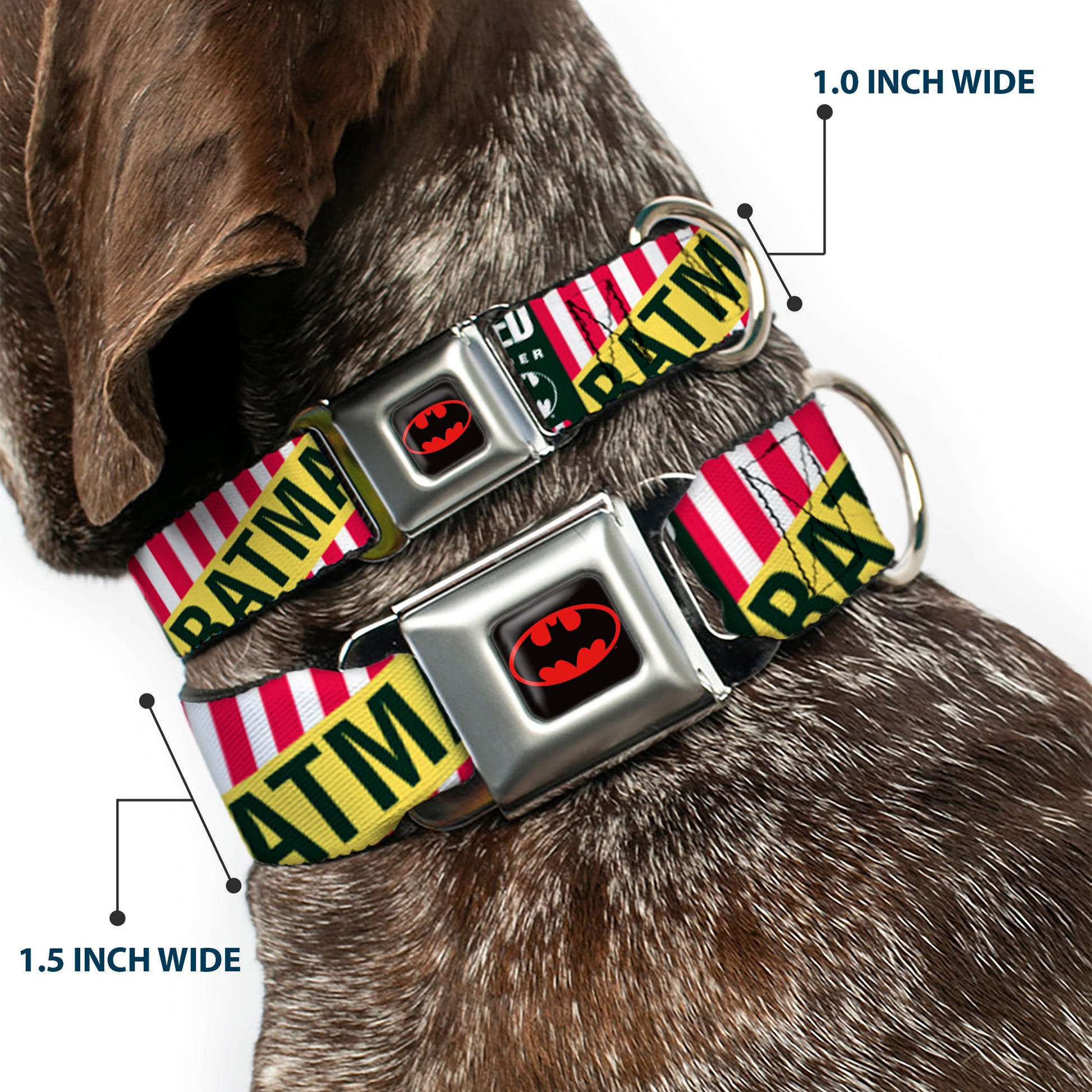 Batman Full Color Black Yellow Seatbelt Buckle Collar - Batman Caped Crusader Seatbelt Buckle Collars DC Comics