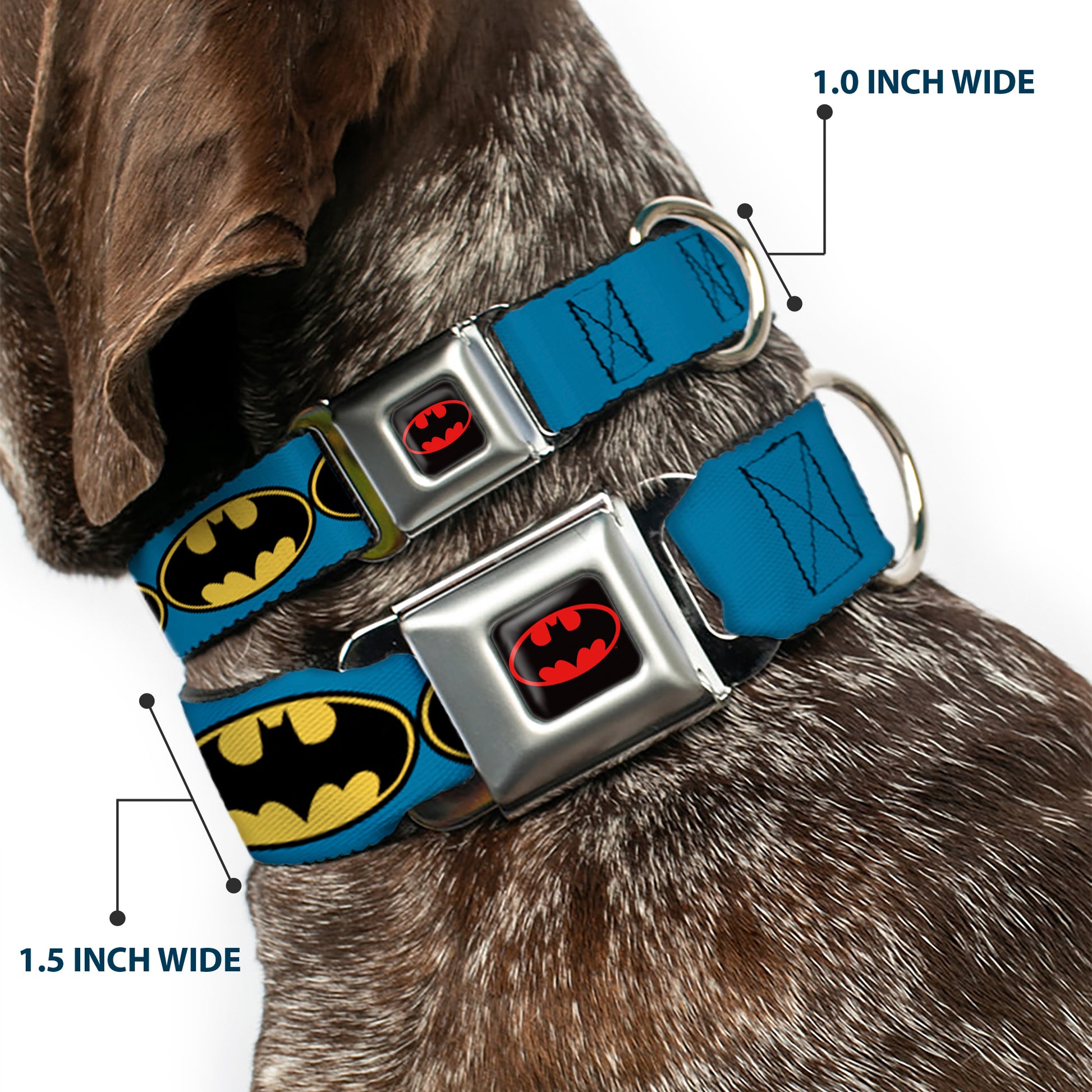 Batman Full Color Black Yellow Seatbelt Buckle Collar - Bat Signal-3 Blue/Black/Yellow Seatbelt Buckle Collars DC Comics
