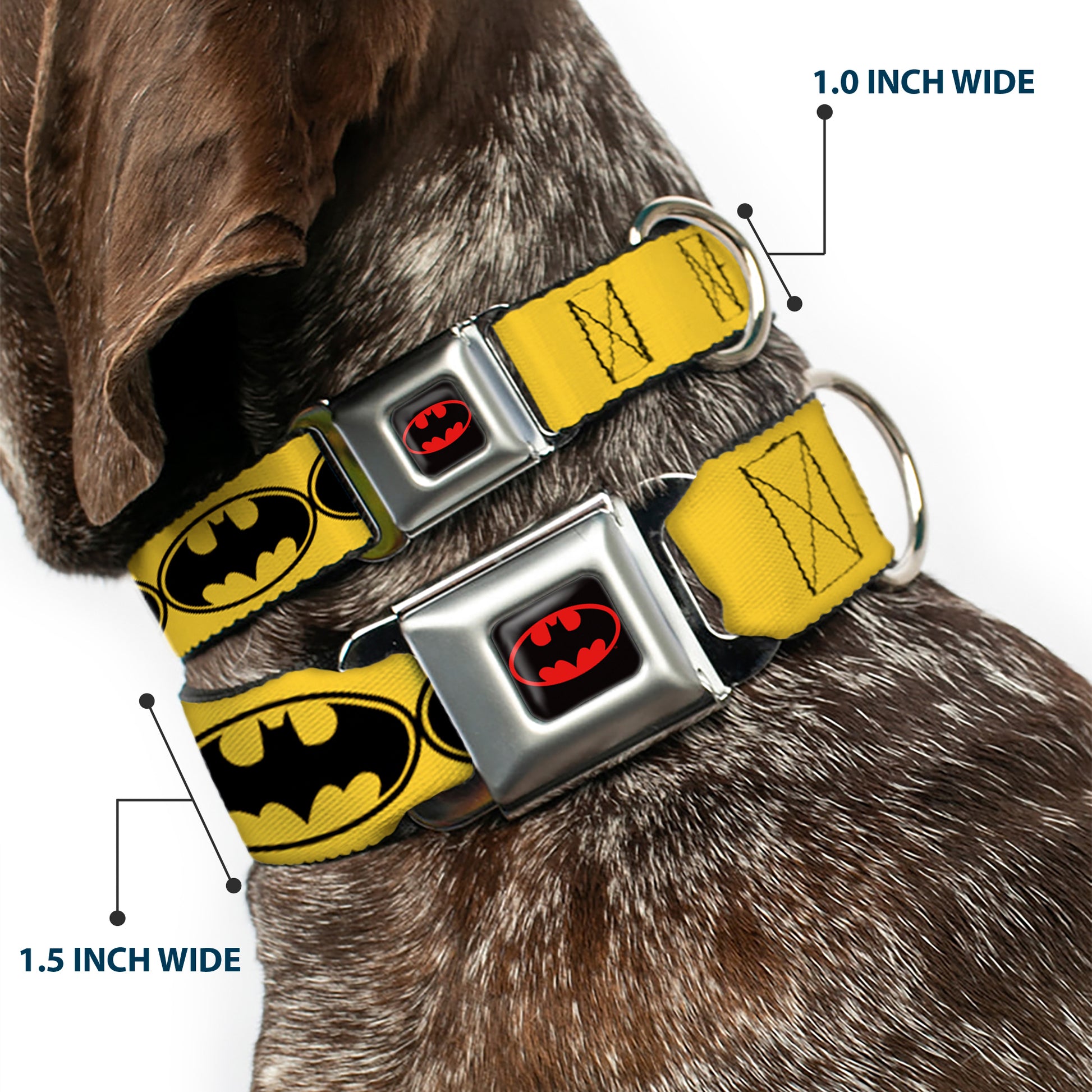 Batman Full Color Black Yellow Seatbelt Buckle Collar - Bat Signal-3 Yellow/Black/Yellow Seatbelt Buckle Collars DC Comics