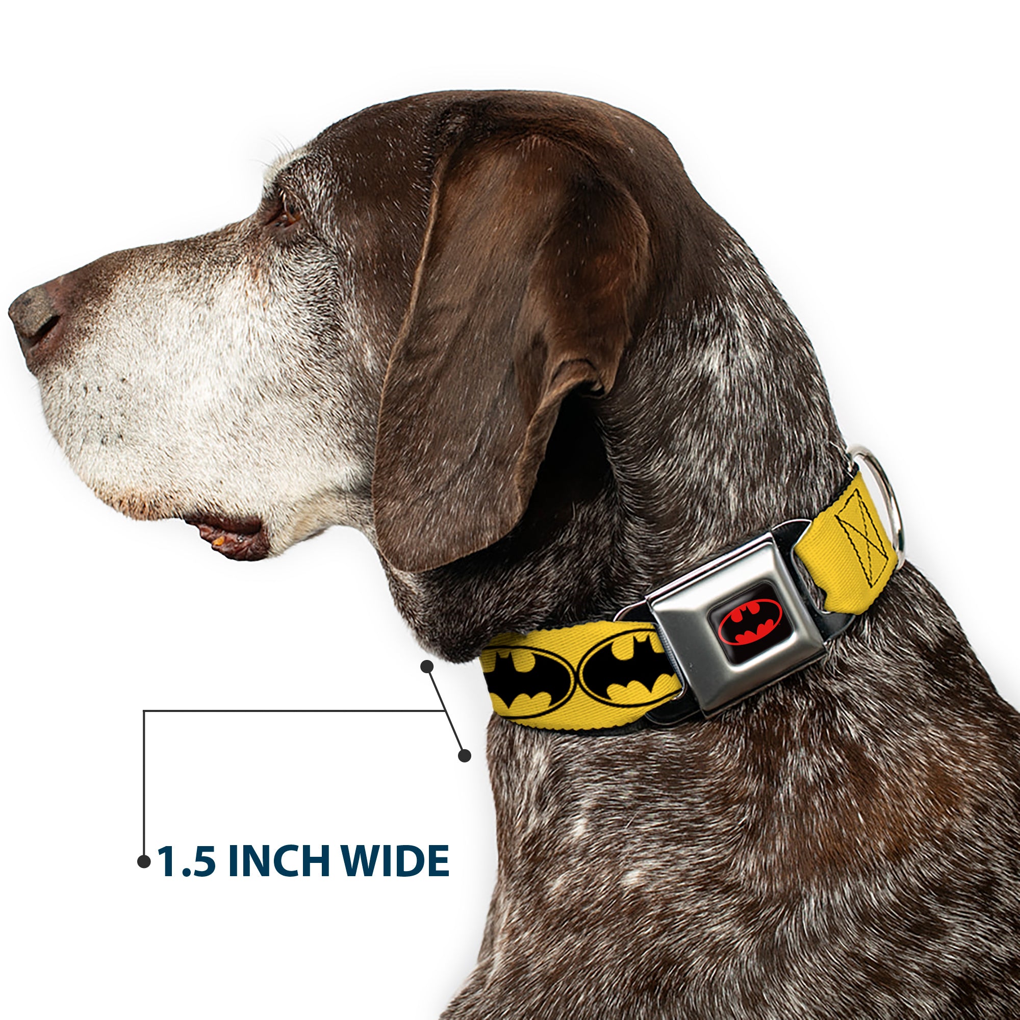 Batman Full Color Black Yellow Seatbelt Buckle Collar - Bat Signal-3 Yellow/Black/Yellow Seatbelt Buckle Collars DC Comics