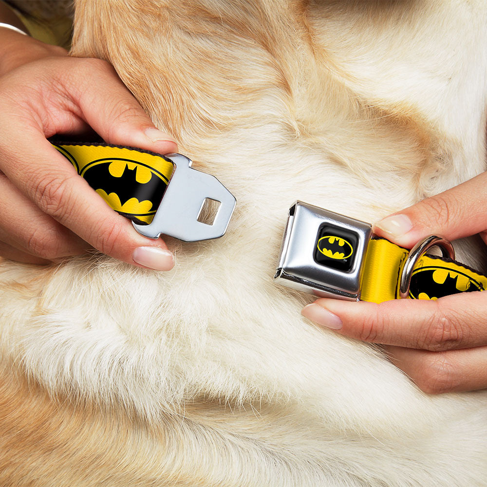 Batman Full Color Black Yellow Seatbelt Buckle Collar - Bat Signal-3 Yellow/Black/Yellow Seatbelt Buckle Collars DC Comics