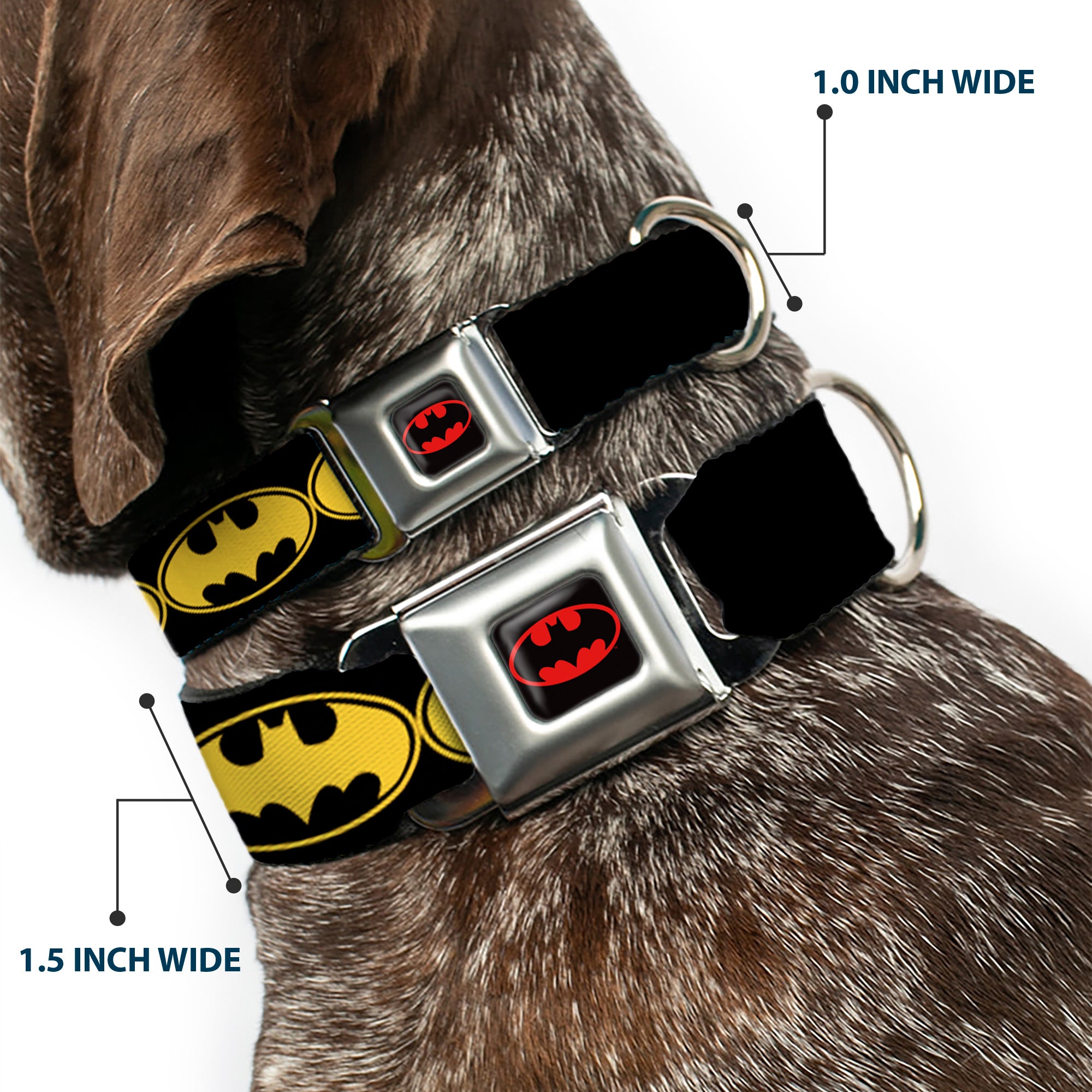 Batman Full Color Black Yellow Seatbelt Buckle Collar - Bat Signal-3 Black/Yellow/Black Seatbelt Buckle Collars DC Comics