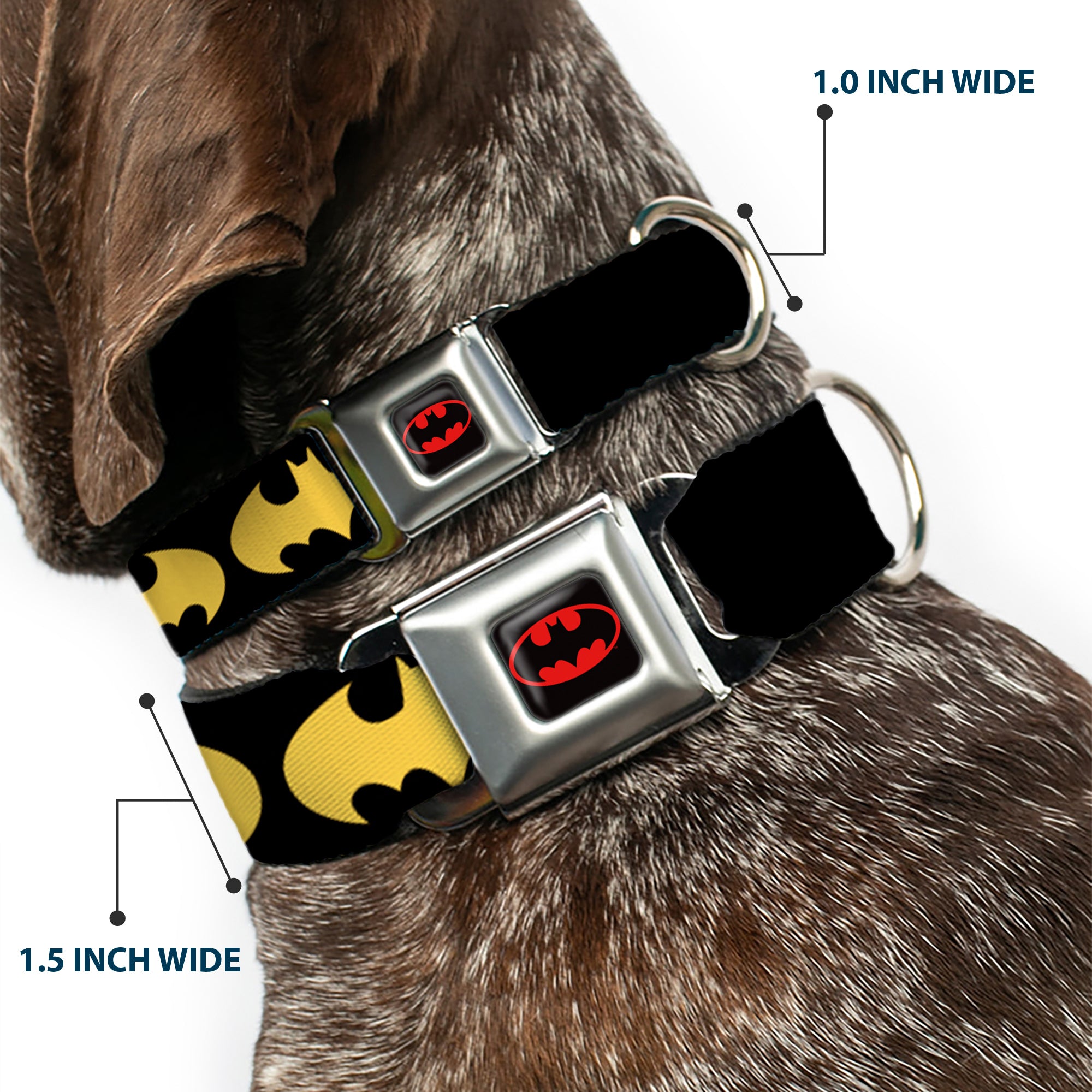 Batman Full Color Black Yellow Seatbelt Buckle Collar - Bat Signal-1 Black/Yellow Seatbelt Buckle Collars DC Comics