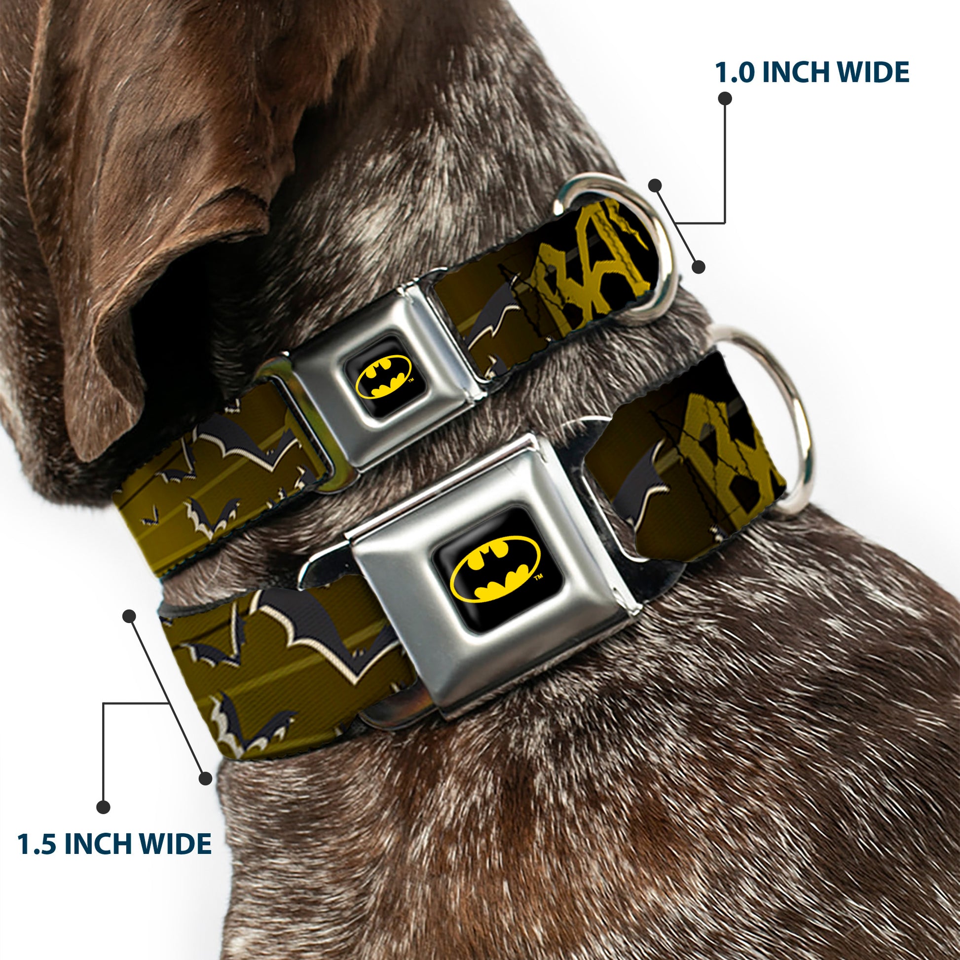 Batman Full Color Black Yellow Seatbelt Buckle Collar - BATMAN w/Bat Signals & Flying Bats Yellow/Black/White Seatbelt Buckle Collars DC Comics
