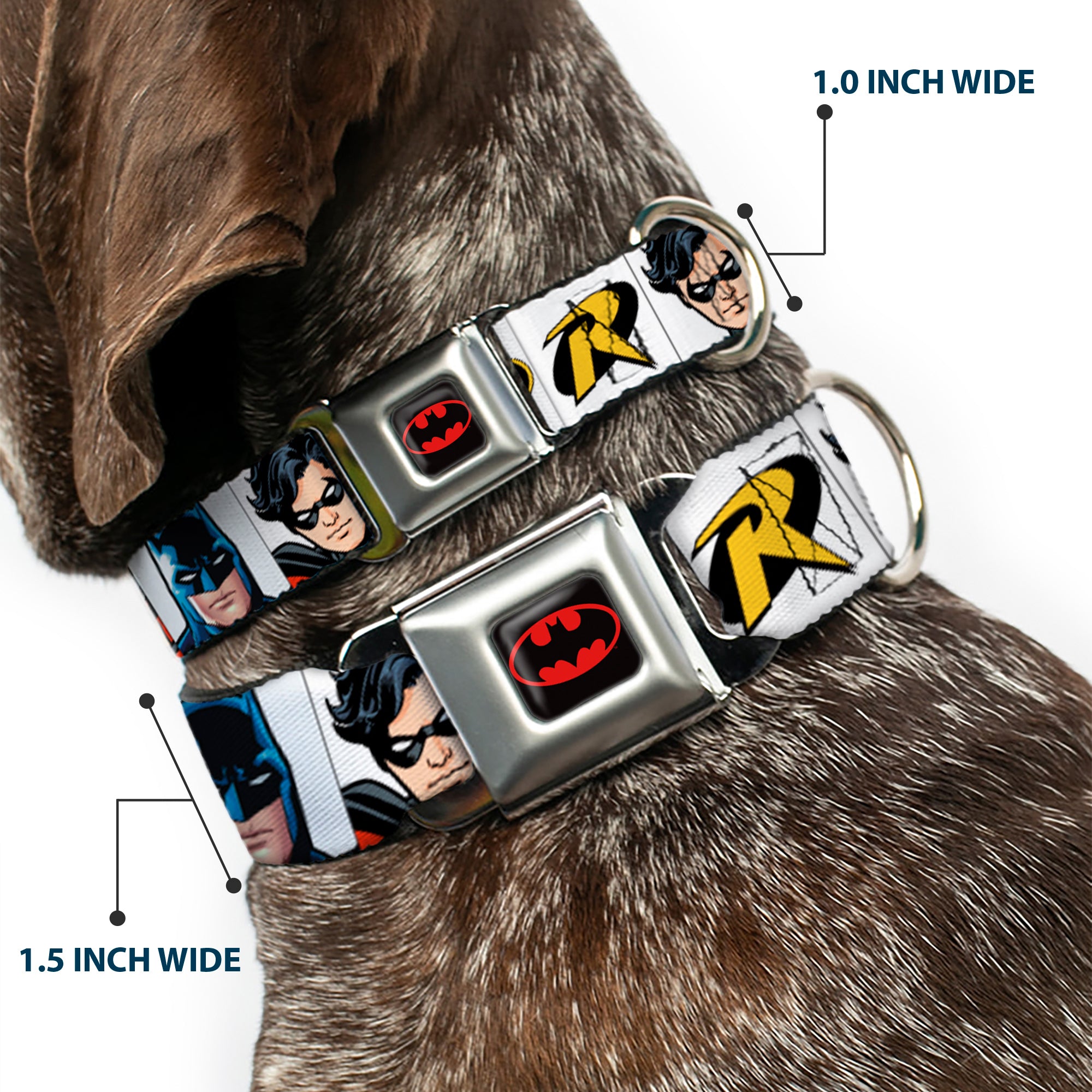 Batman Full Color Black Yellow Seatbelt Buckle Collar - Batman & Robin Blocks White Seatbelt Buckle Collars DC Comics