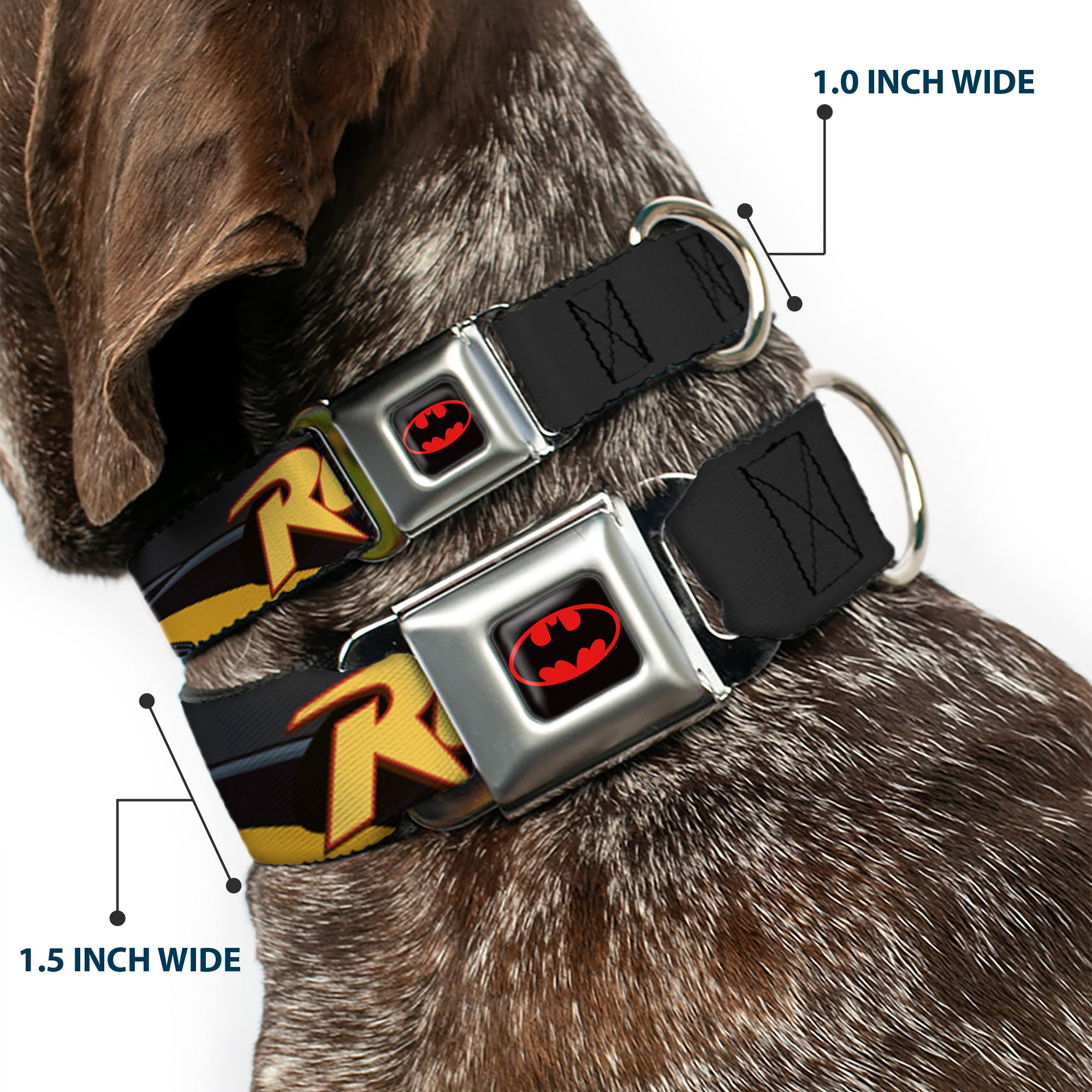 Batman Full Color Black Yellow Seatbelt Buckle Collar - ROBIN Red/Black Poses Gray Seatbelt Buckle Collars DC Comics