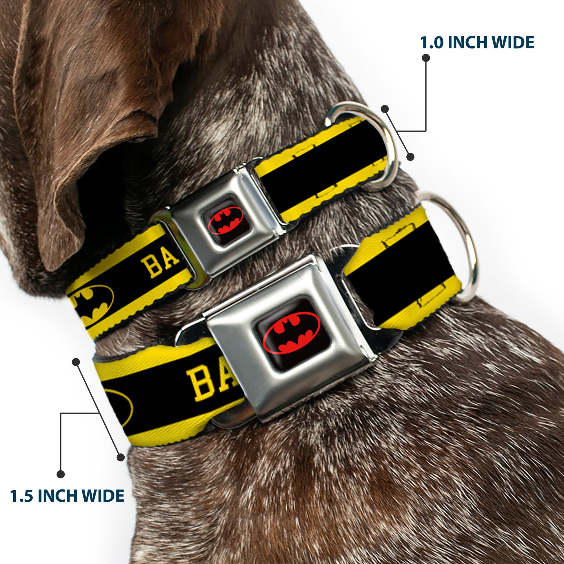 Batman Full Color Black Yellow Seatbelt Buckle Collar - BATMAN/Logo Stripe Yellow/Black Seatbelt Buckle Collars DC Comics