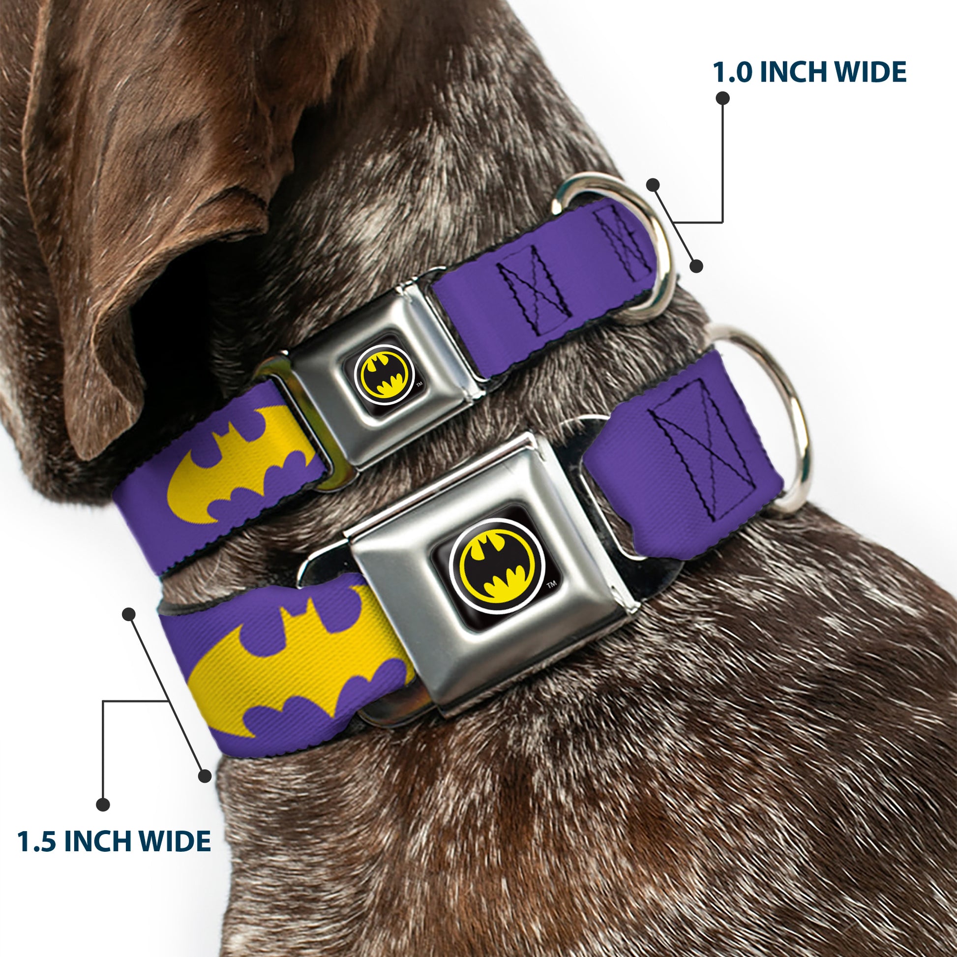 Batman Signal Full Color Purple Yellow Seatbelt Buckle Collar - Batman Signal Purple/Yellow Seatbelt Buckle Collars DC Comics
