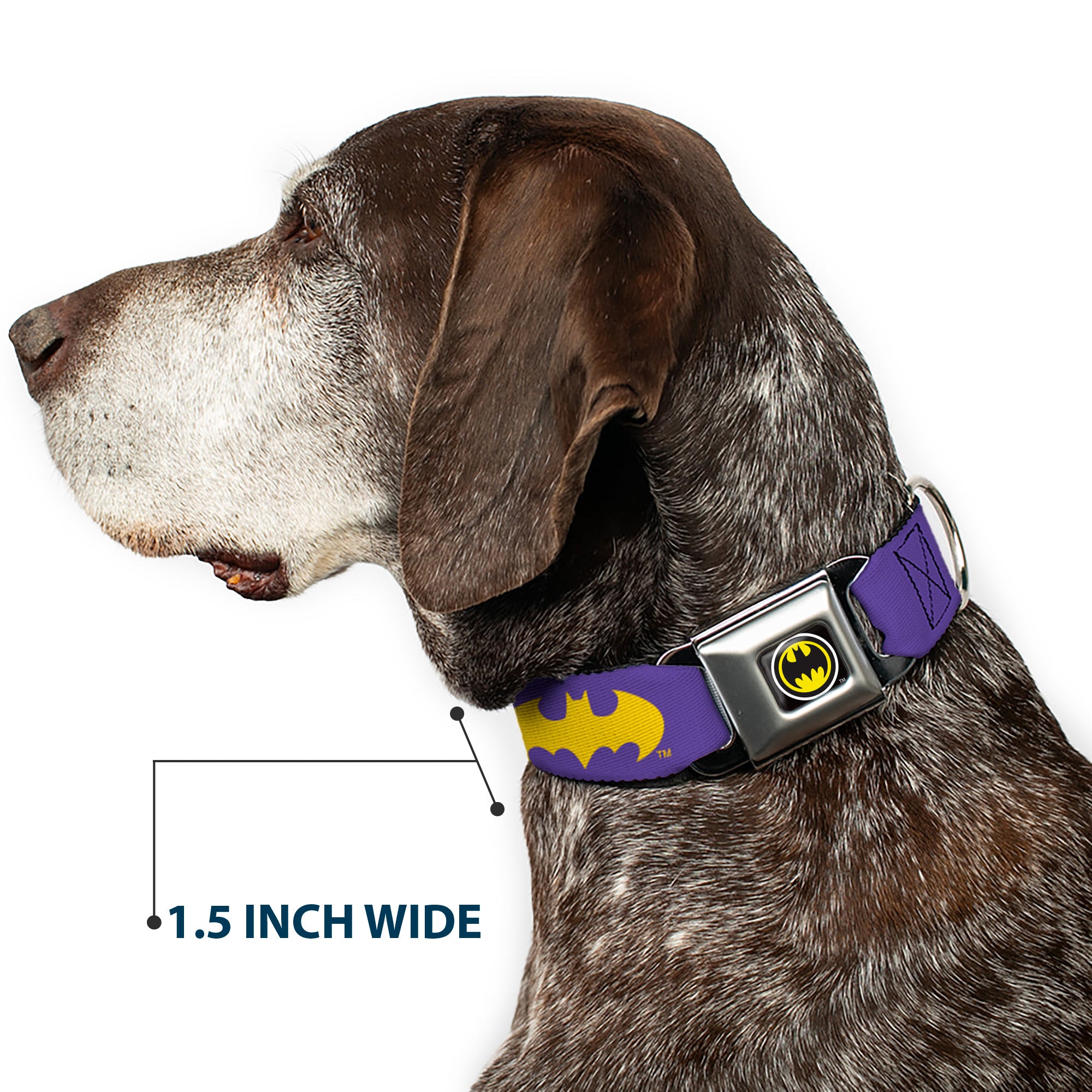 Batman Signal Full Color Purple Yellow Seatbelt Buckle Collar - Batman Signal Purple/Yellow Seatbelt Buckle Collars DC Comics