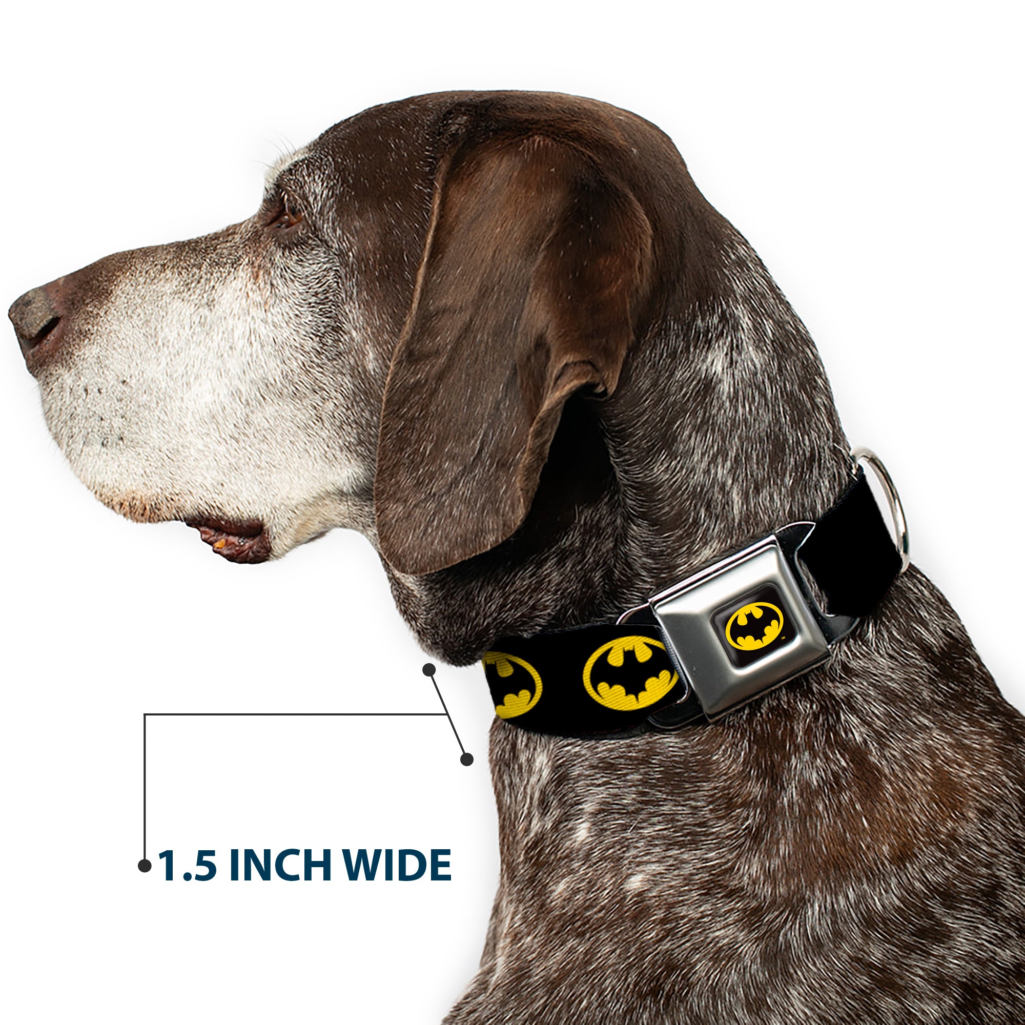 Batman 1989 Logo Full Color Black/Yellow Seatbelt Buckle Collar - Batman 1989 Logo Black/Yellow Seatbelt Buckle Collars DC Comics