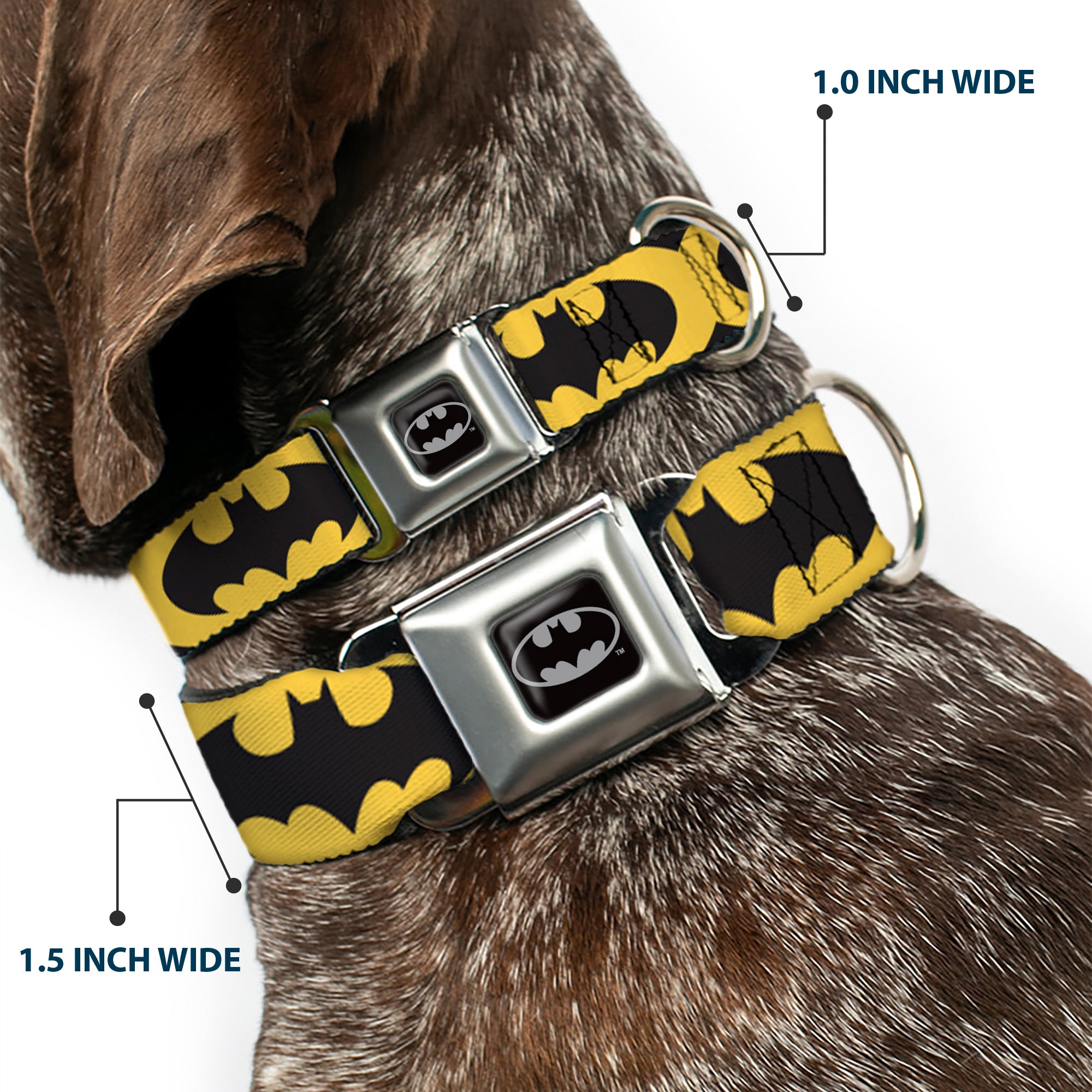 Batman Full Color Black Silver Black Seatbelt Buckle Collar - Bat Signal-5 Black/Yellow/Black Seatbelt Buckle Collars DC Comics