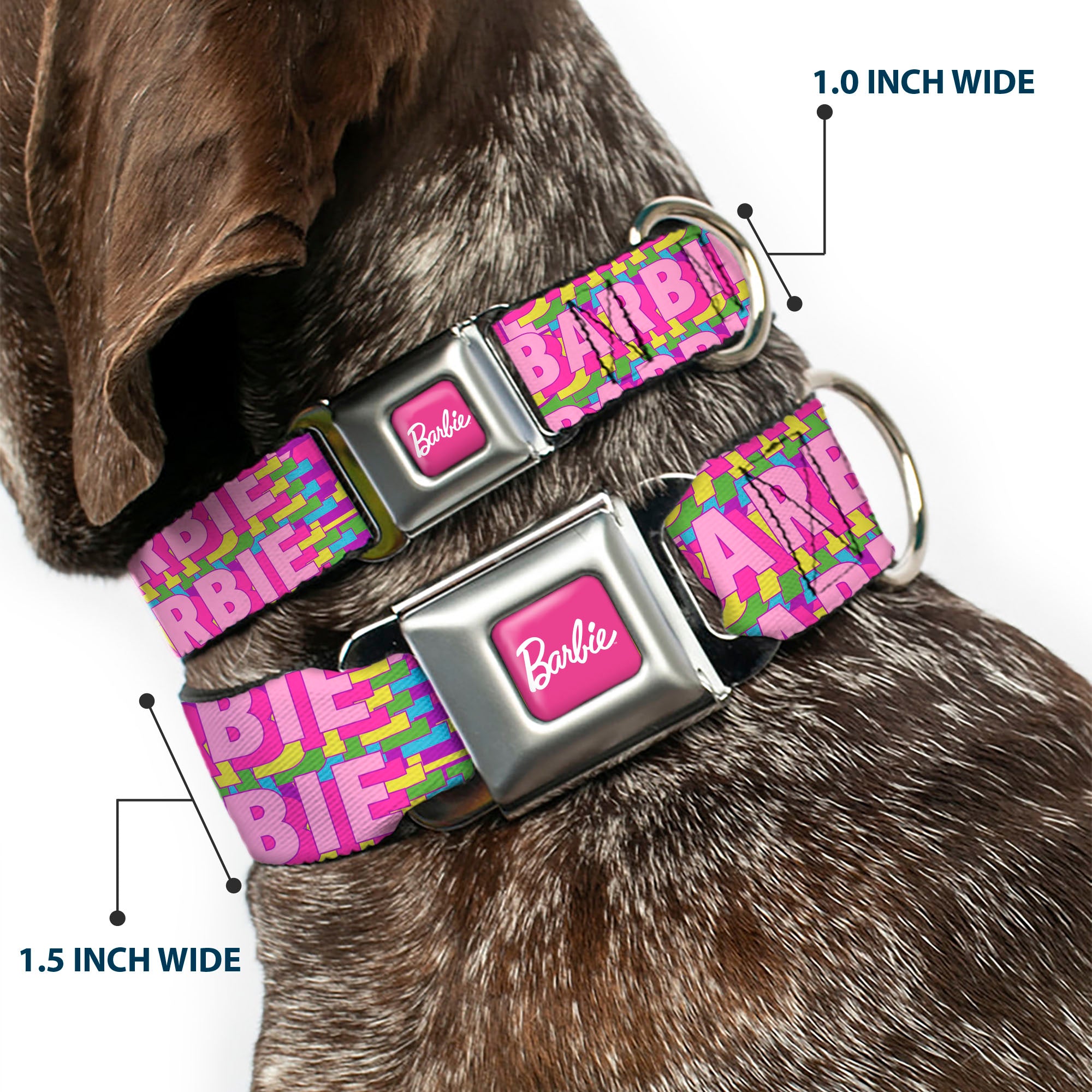 BARBIE Script Signature Full Color Hot Pink/White Seatbelt Buckle Collar - BARBIE Bold Text Stacked Pink/Multi Color Seatbelt Buckle Collars Barbie