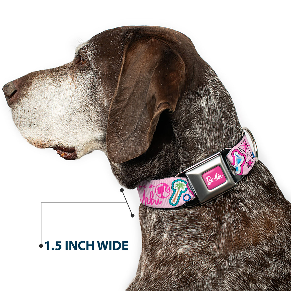 BARBIE Script Signature Full Color Hot Pink/White Seatbelt Buckle Collar - BARBIE MEET ME IN MALIBU Icons Collage Pink/Multi Color Dog Collars Seatbelt Buckle Barbie