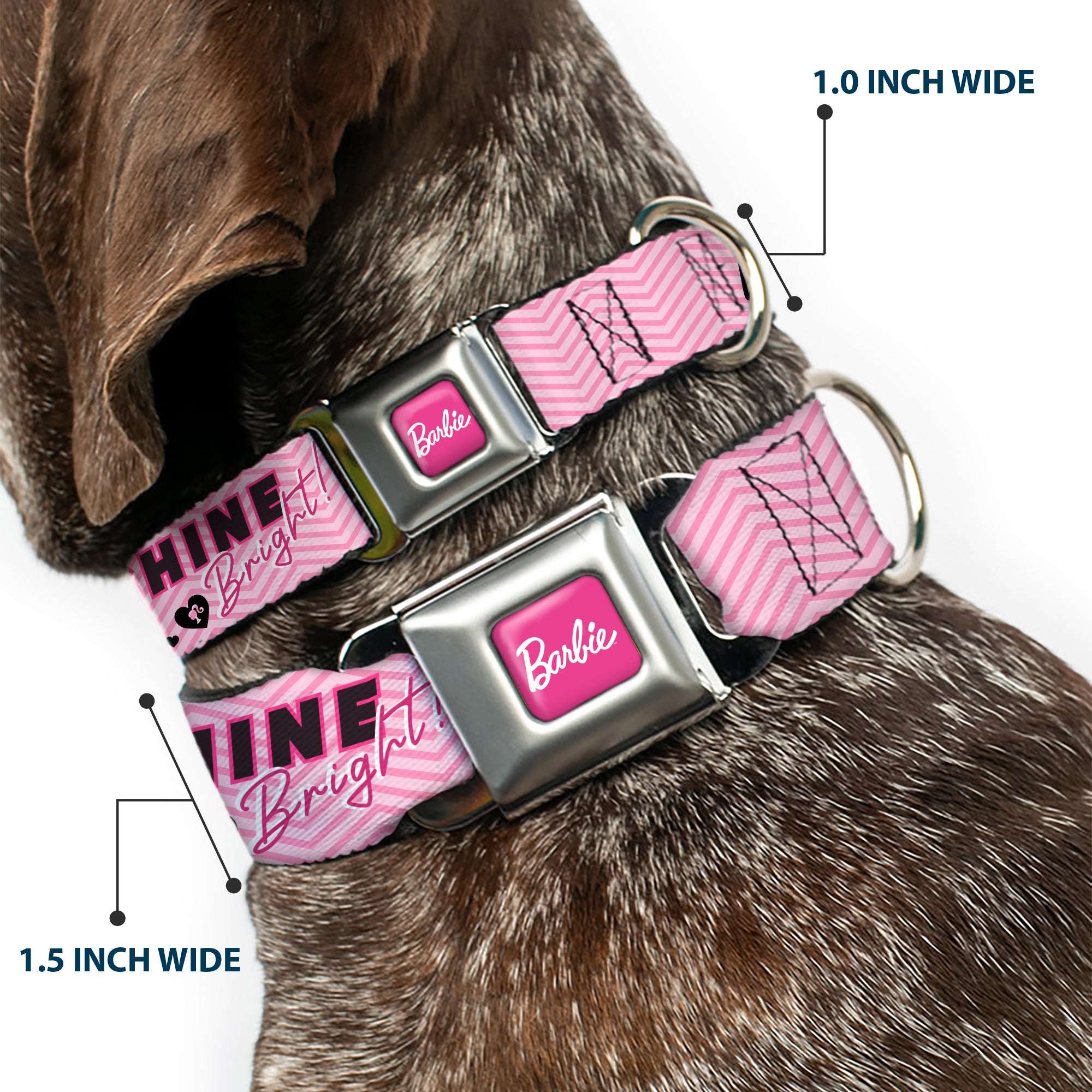 BARBIE Script Signature Full Color Hot Pink/White Seatbelt Buckle Collar - BARBIE LOVE SHINE BRIGHT Chevron Striping Pinks Seatbelt Buckle Collars Barbie