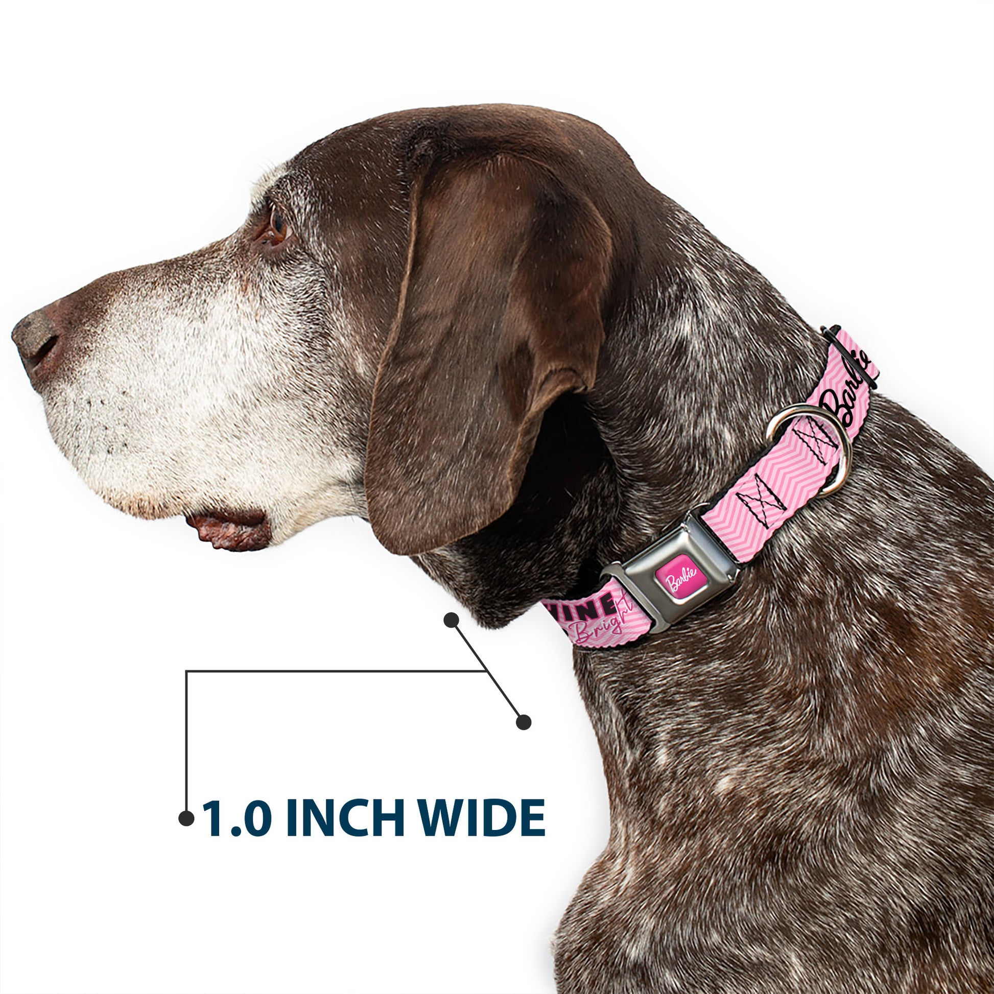 BARBIE Script Signature Full Color Hot Pink/White Seatbelt Buckle Collar - BARBIE LOVE SHINE BRIGHT Chevron Striping Pinks Seatbelt Buckle Collars Barbie