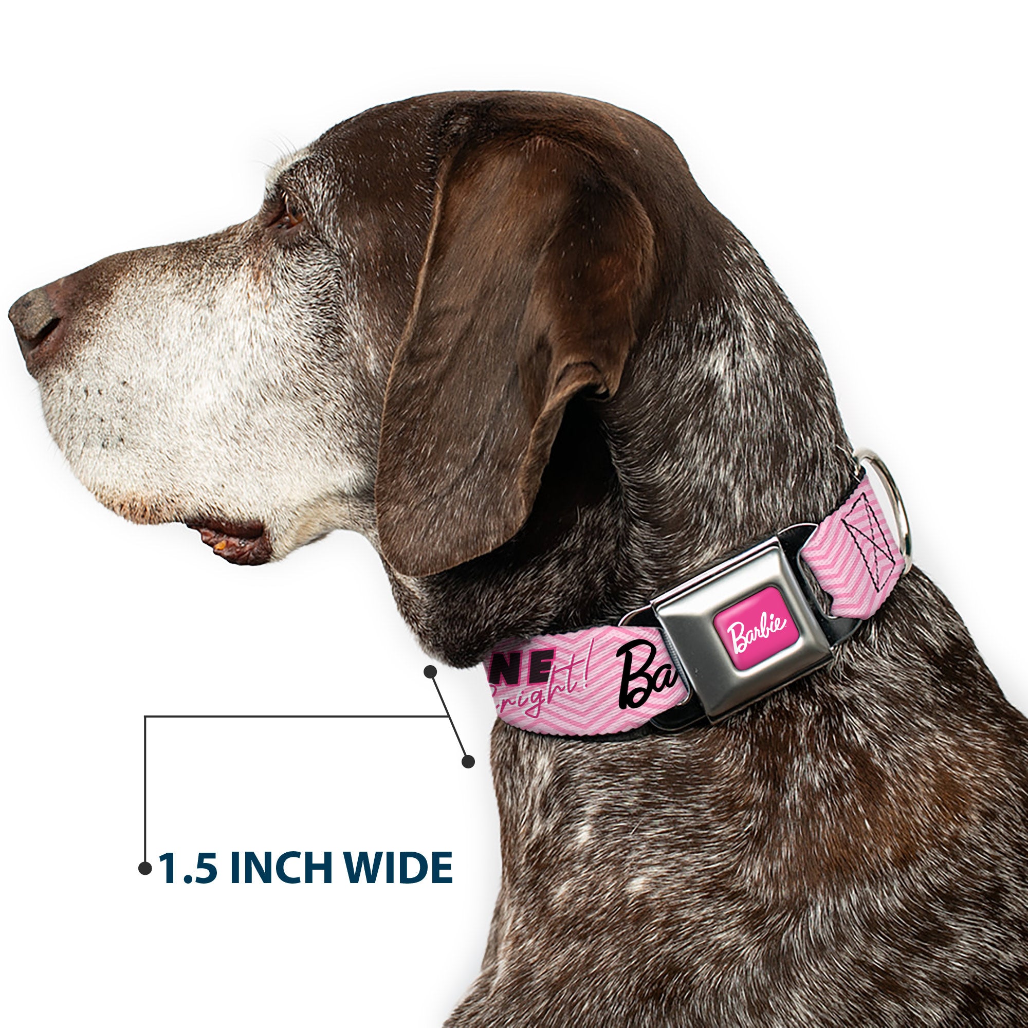 BARBIE Script Signature Full Color Hot Pink/White Seatbelt Buckle Collar - BARBIE LOVE SHINE BRIGHT Chevron Striping Pinks Seatbelt Buckle Collars Barbie