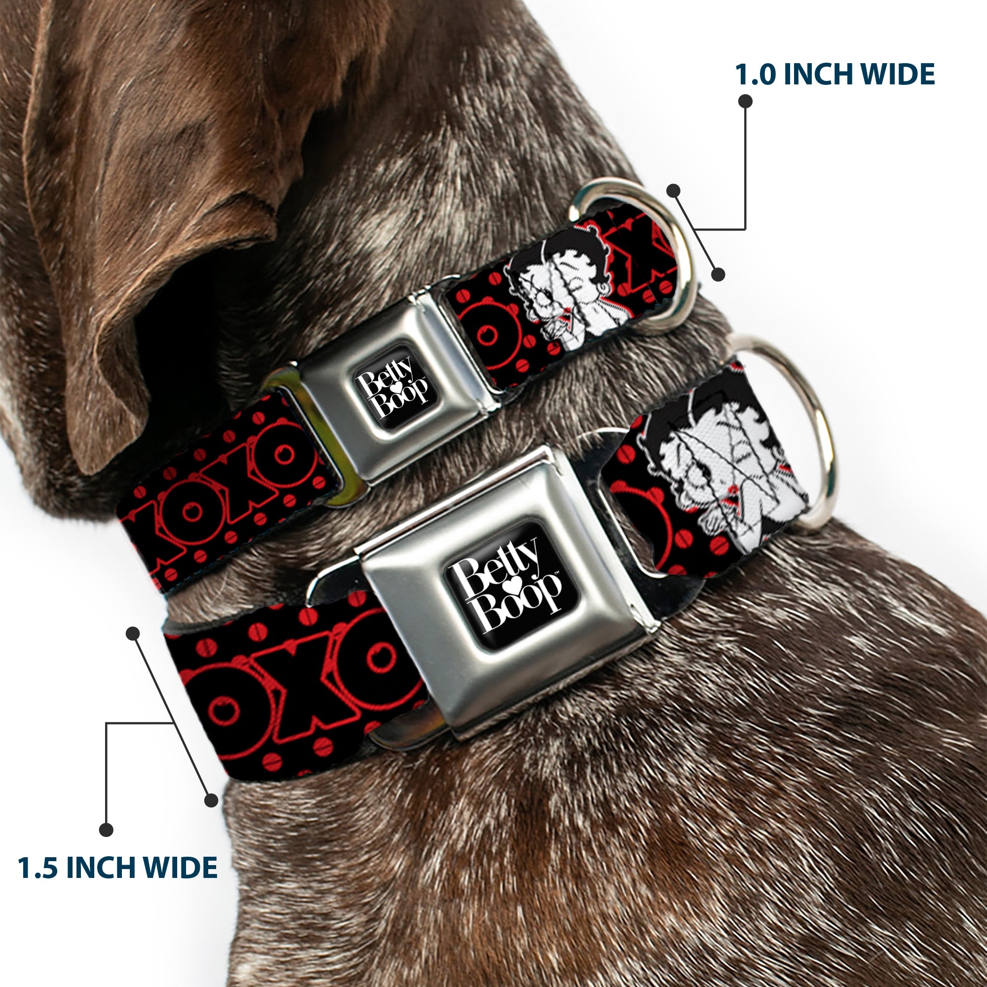 BETTY BOOP Text Heart Logo Full Color Black/White Seatbelt Buckle Collar - Betty Boop Winking Kiss Pose with XOXO Text Polka Dot Black/Red/White Seatbelt Buckle Collars Betty Boop