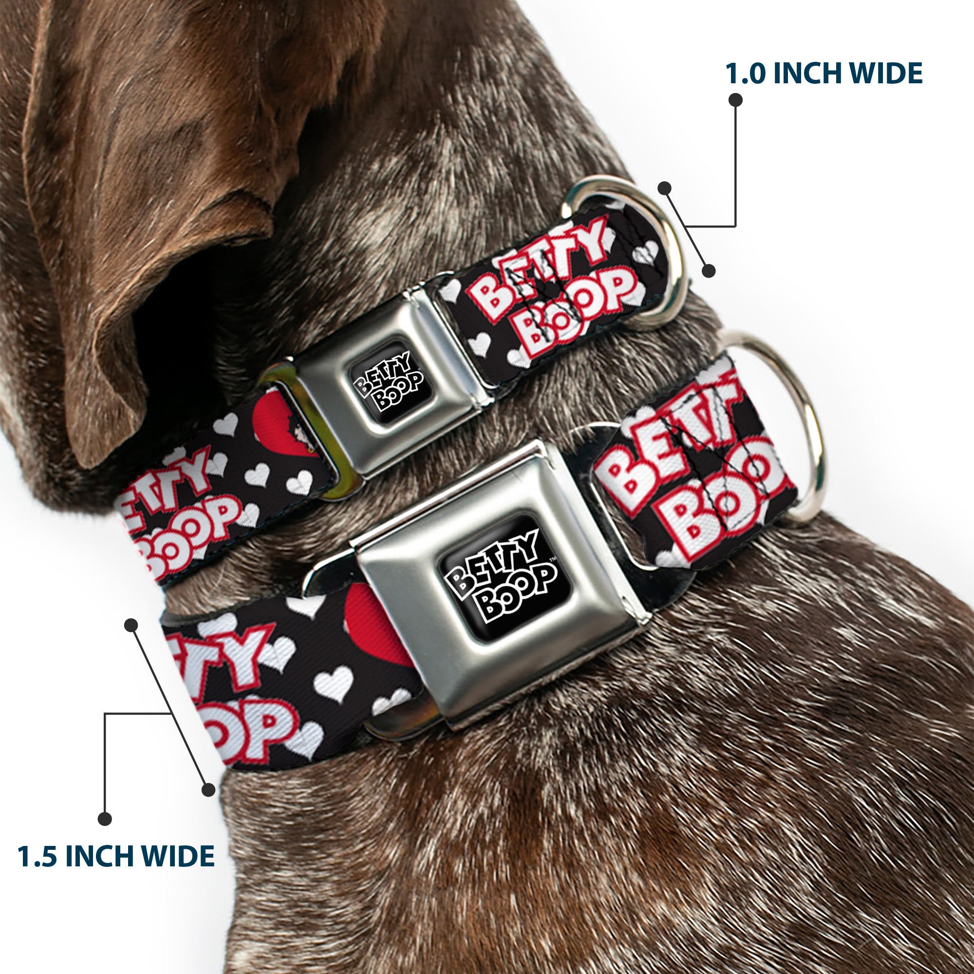 BETTY BOOP Text Heart Logo Full Color Black/White Seatbelt Buckle Collar - BETTY BOOP Face and Text Hearts Black/White/Red Seatbelt Buckle Collars Betty Boop
