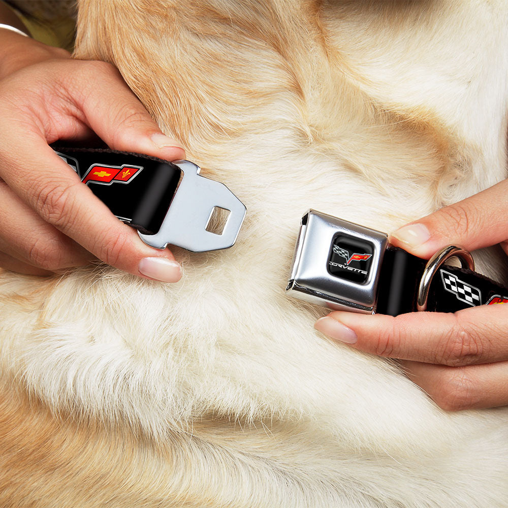 C6 Seatbelt Buckle Collar - C6 Logo REPEAT Seatbelt Buckle Collars GM General Motors