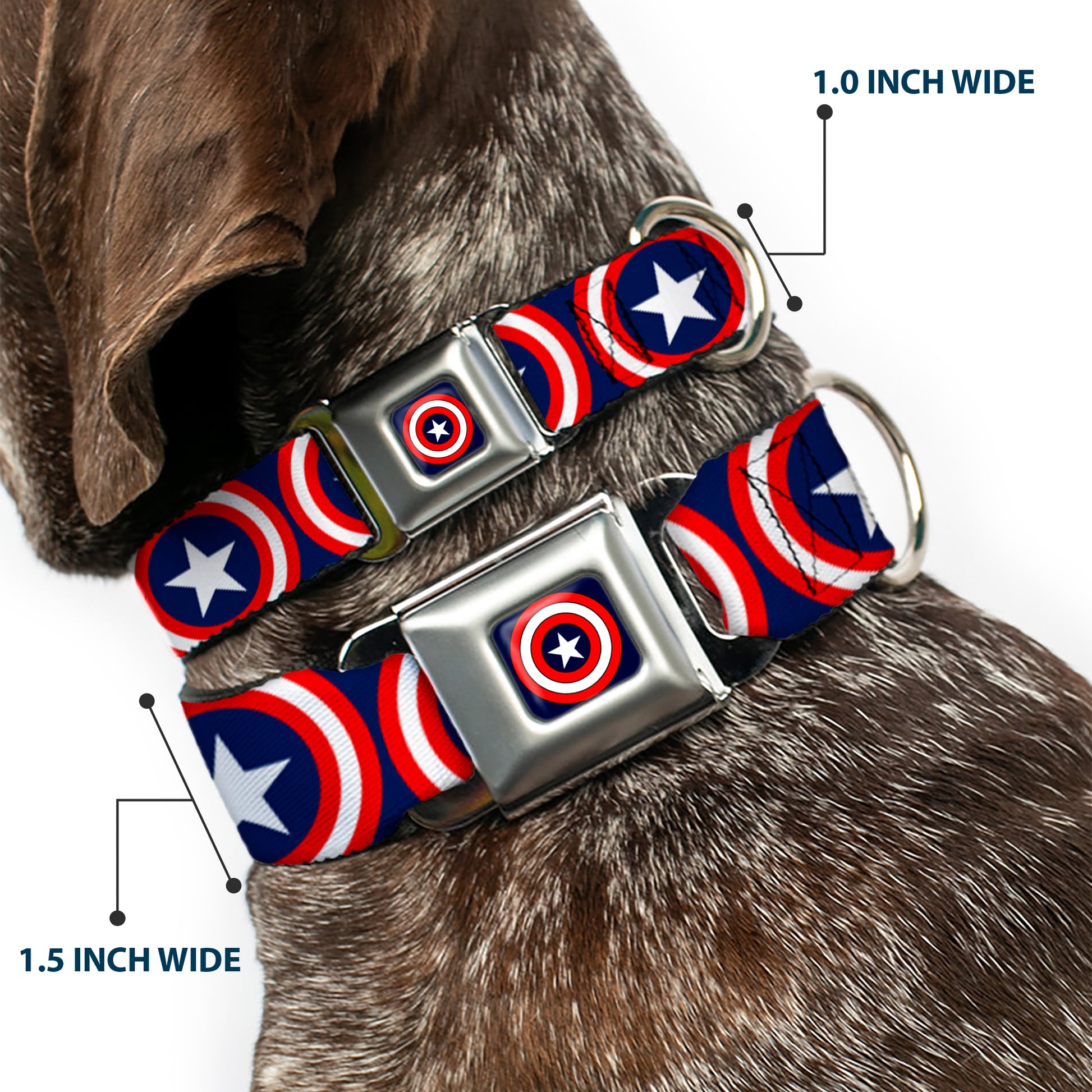 MARVEL COMICS Captain America Shield Full Color Navy Seatbelt Buckle Collar - Captain America Shield Repeat Navy Seatbelt Buckle Collars Marvel Comics