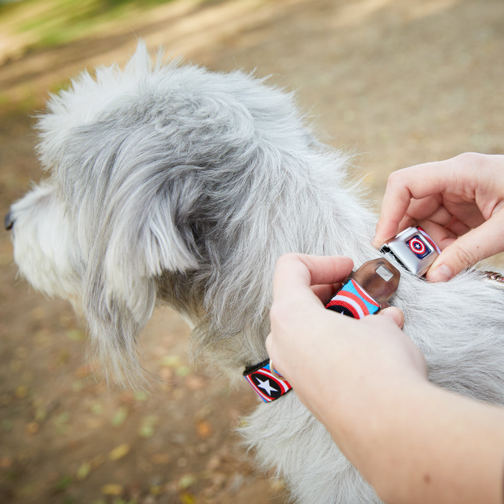 MARVEL COMICS Captain America Shield Full Color Navy Seatbelt Buckle Collar - Captain America Shield Repeat Navy Seatbelt Buckle Collars Marvel Comics