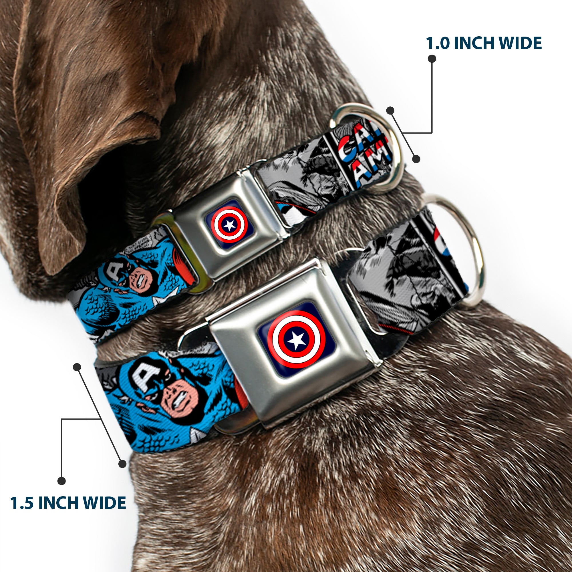 Captain America Shield Navy Seatbelt Buckle Collar - CAPTAIN AMERICA 2-Poses/Comic Blocks Grays/Red/White/Blue Seatbelt Buckle Collars Marvel Comics